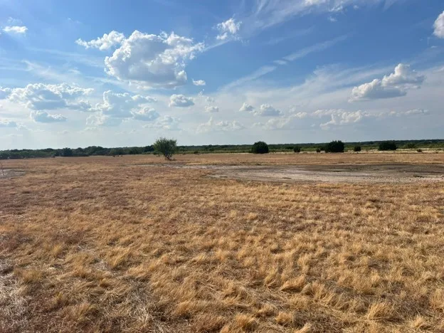 Improved Land For Sale in Brown County , 4092 CR 192, Bangs, Texas 76823, 0, 0, Garage spaces, 0 Sqft, built in 0, mls#21398551, Real Estate Agent in Bangs, Homes For Sale in Brown county, Homes For Sale in Bangs, Realtor in Bangs Texas, Real Estate Brokerage Independent Realty Texas, Luminita Cordes Realtor
