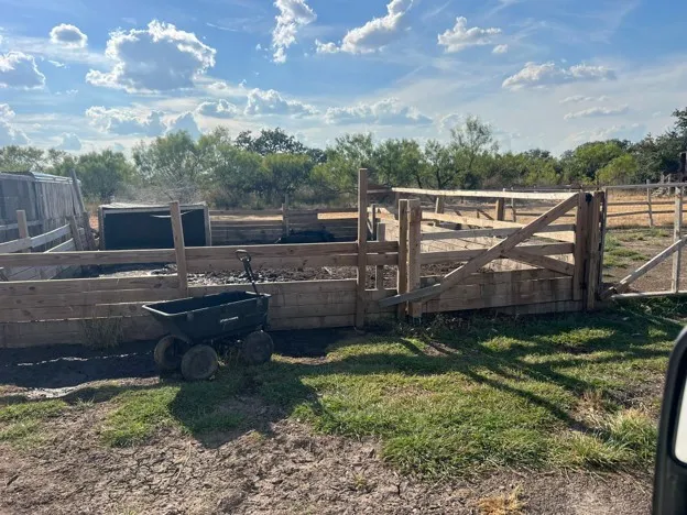 Improved Land For Sale in Brown County , 4092 CR 192, Bangs, Texas 76823, 0, 0, Garage spaces, 0 Sqft, built in 0, mls#21398551, Real Estate Agent in Bangs, Homes For Sale in Brown county, Homes For Sale in Bangs, Realtor in Bangs Texas, Real Estate Brokerage Independent Realty Texas, Luminita Cordes Realtor