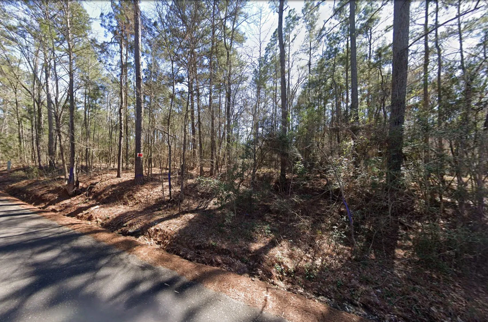 Unimproved Land For Sale in Walker County , 225 Paul Dixon Road, Huntsville, Texas 77320, 0, 0, Garage spaces, 0 Sqft, built in 0, mls#21400119, Real Estate Agent in Huntsville, Homes For Sale in Walker county, Homes For Sale in Huntsville, Realtor in Huntsville Texas, Real Estate Brokerage Independent Realty Texas, Luminita Cordes Realtor