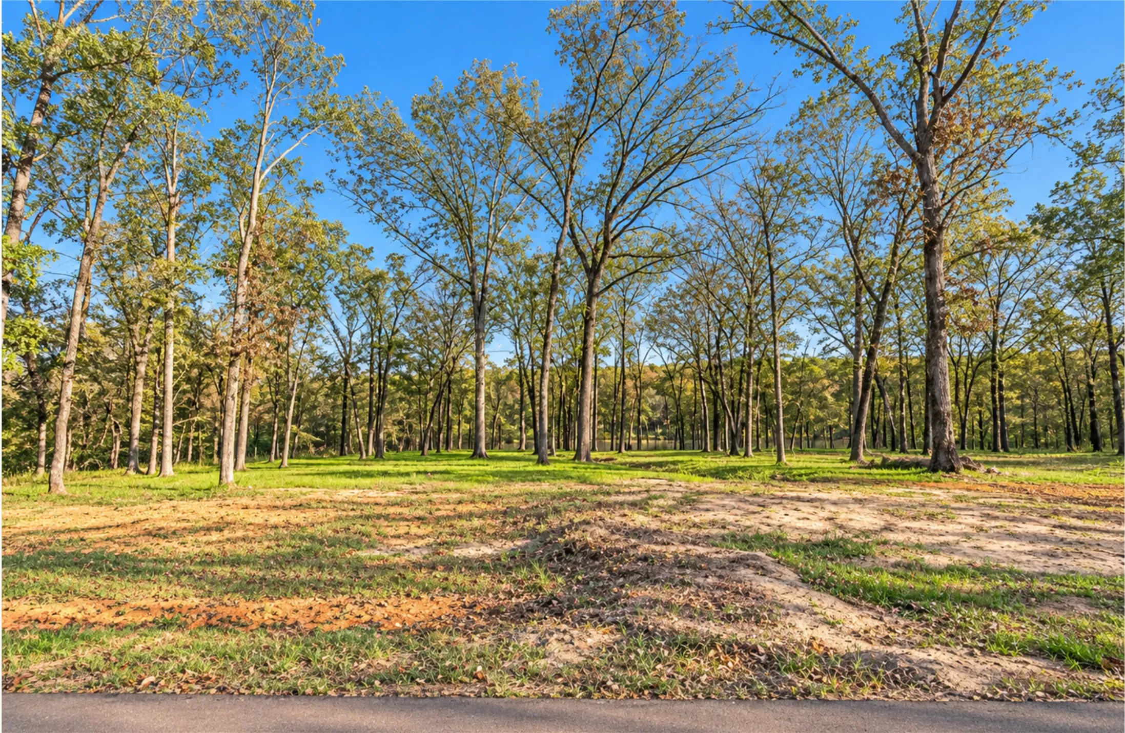Improved Land For Sale in Camp County , Lot 55 Private Road 52415, Leesburg, Texas 75451, 0, 0, Garage spaces, 0 Sqft, built in 0, mls#21400124, Real Estate Agent in Leesburg, Homes For Sale in Camp county, Homes For Sale in Leesburg, Realtor in Leesburg Texas, Real Estate Brokerage Independent Realty Texas, Luminita Cordes Realtor