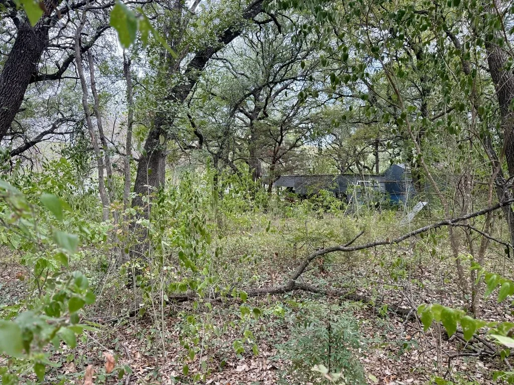 Single Family Residence For Sale in Bosque County , 212 County Road 1746, Clifton, Texas 76634, 1 Bedroom, 0, Garage spaces, 1,260 Sqft, built in 1965, mls#21400201, Real Estate Agent in Clifton, Homes For Sale in Bosque county, Homes For Sale in Clifton, Realtor in Clifton Texas, Real Estate Brokerage Independent Realty Texas, Luminita Cordes Realtor