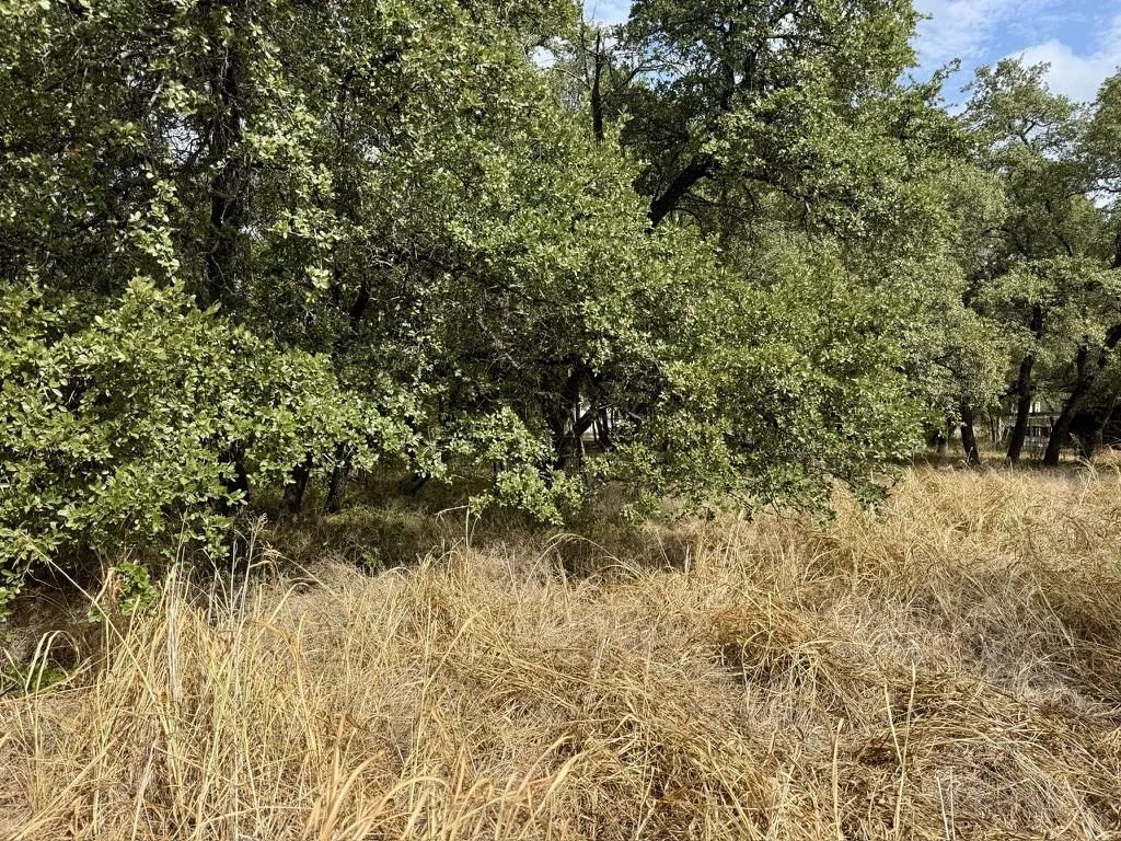 Single Family Residence For Sale in Bosque County , 212 County Road 1746, Clifton, Texas 76634, 1 Bedroom, 0, Garage spaces, 1,260 Sqft, built in 1965, mls#21400201, Real Estate Agent in Clifton, Homes For Sale in Bosque county, Homes For Sale in Clifton, Realtor in Clifton Texas, Real Estate Brokerage Independent Realty Texas, Luminita Cordes Realtor