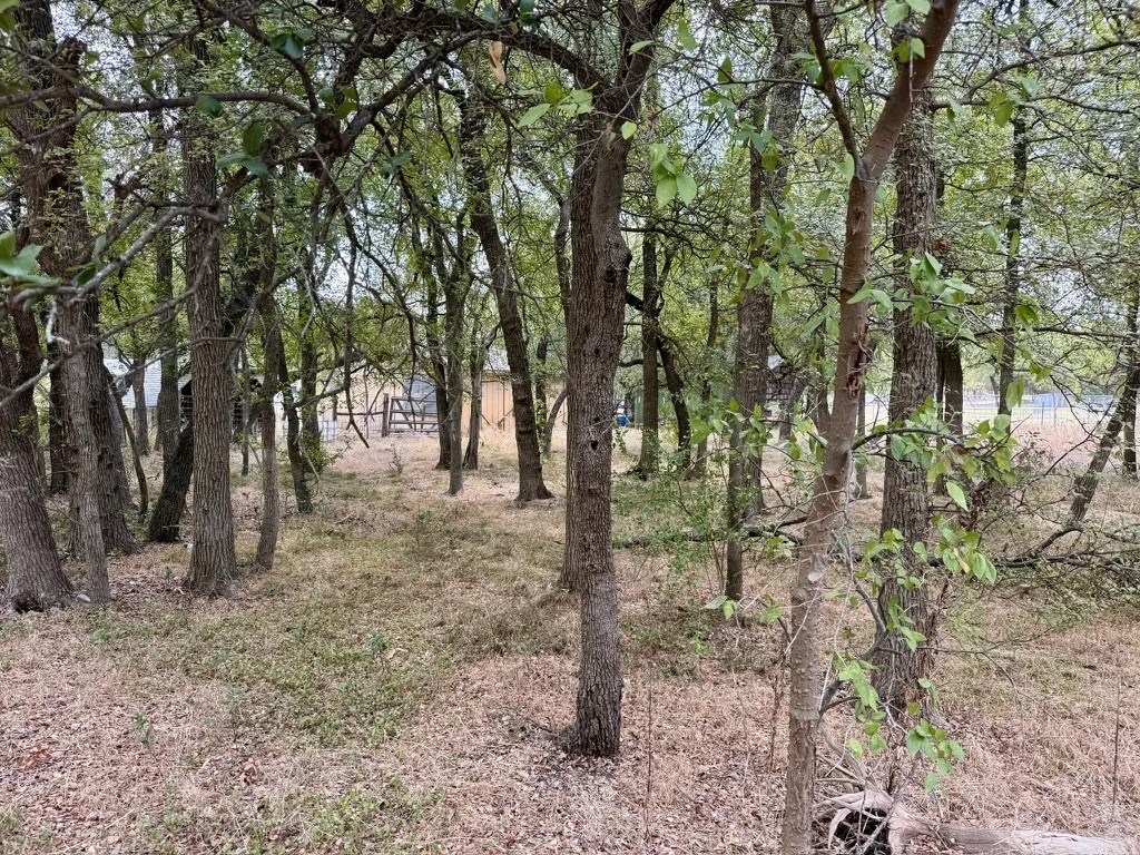 Single Family Residence For Sale in Bosque County , 212 County Road 1746, Clifton, Texas 76634, 1 Bedroom, 0, Garage spaces, 1,260 Sqft, built in 1965, mls#21400201, Real Estate Agent in Clifton, Homes For Sale in Bosque county, Homes For Sale in Clifton, Realtor in Clifton Texas, Real Estate Brokerage Independent Realty Texas, Luminita Cordes Realtor