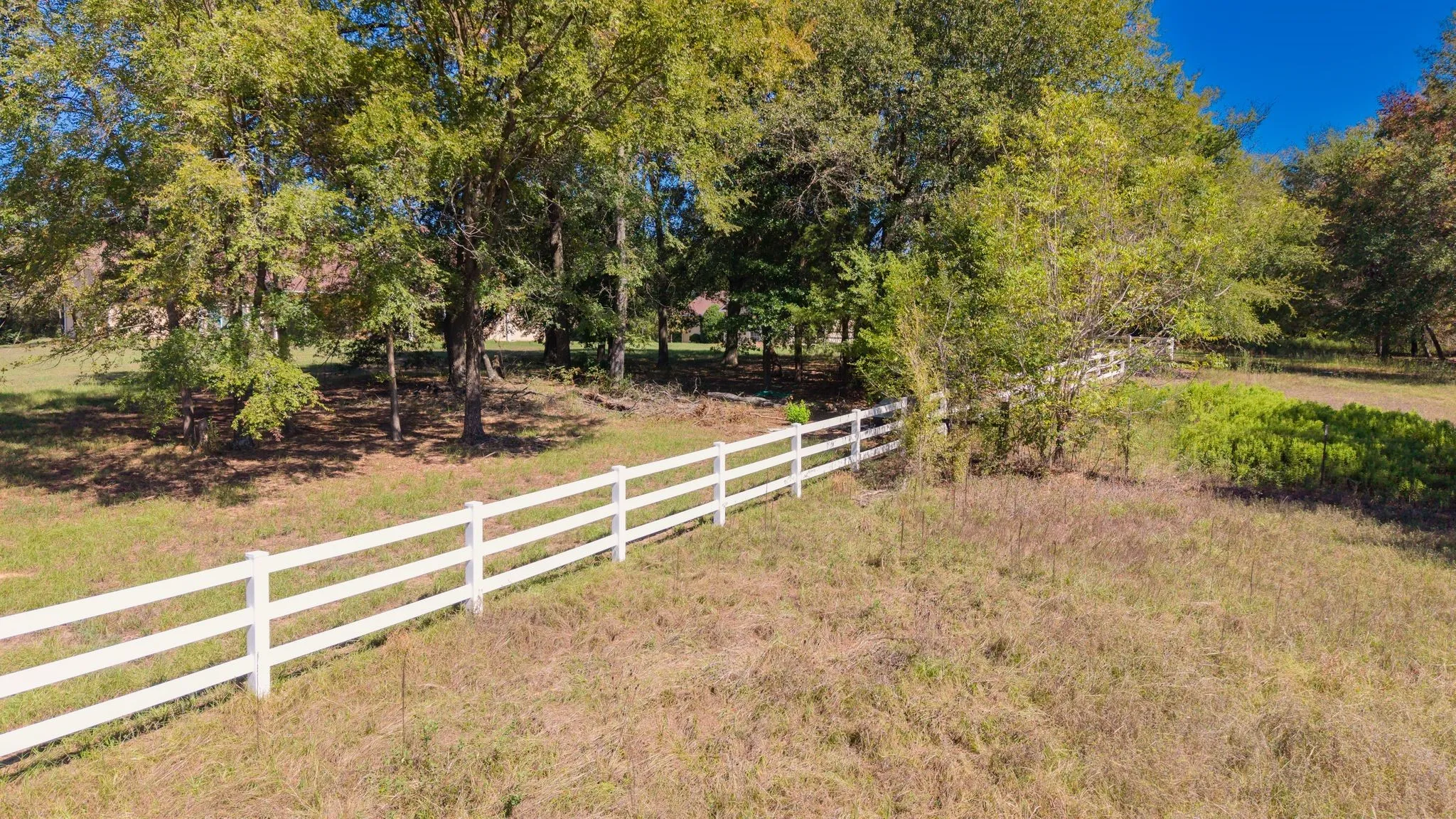 Front acreage surrounding the house has white fencing, stands of mature trees.