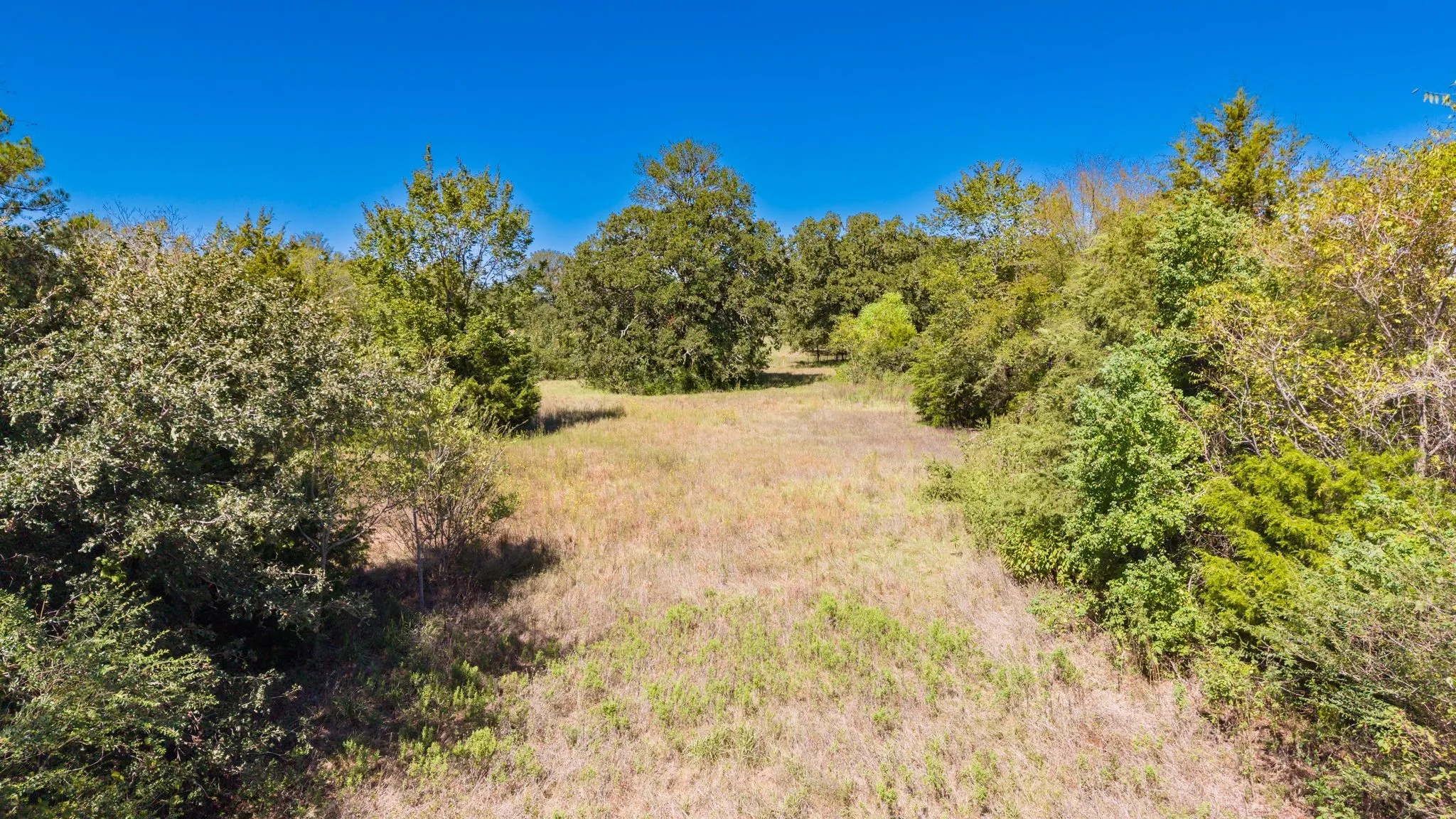 Huge Oak trees! Acreage behind house is also fenced, ready for livestock or gardens.