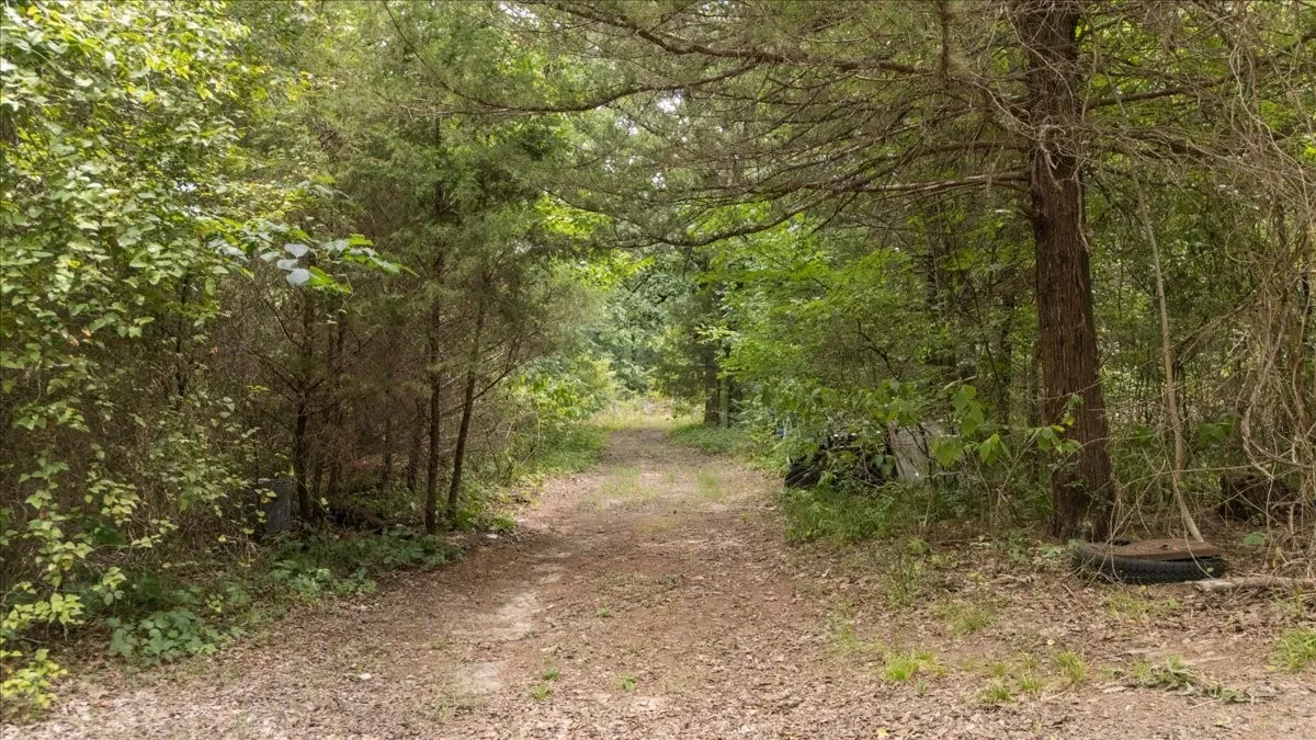 Single Family Residence For Sale in Van Zandt County , 404 PR 6227, Canton, Texas 75103, 4 Bedroom, 2 Bathroom, 2 Garage spaces, 2,584 Sqft, built in 1975, mls#21400212, Real Estate Agent in Canton, Homes For Sale in Van Zandt county, Homes For Sale in Canton, Realtor in Canton Texas, Real Estate Brokerage Independent Realty Texas, Luminita Cordes Realtor