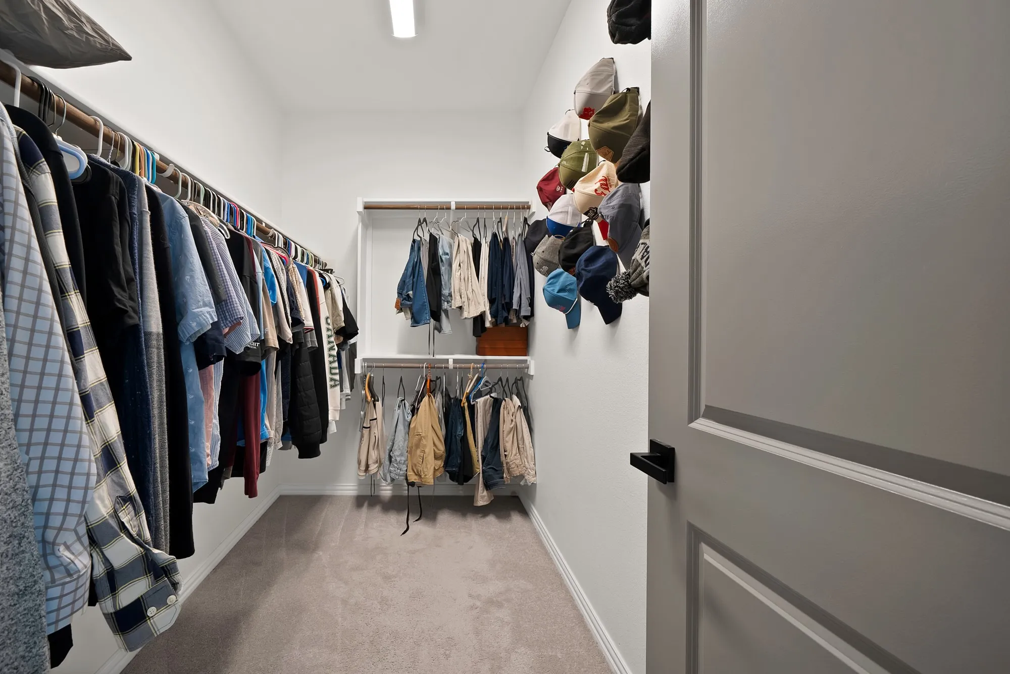 Walk-in closet featuring carpet flooring, built-in shelving, and hanging rods