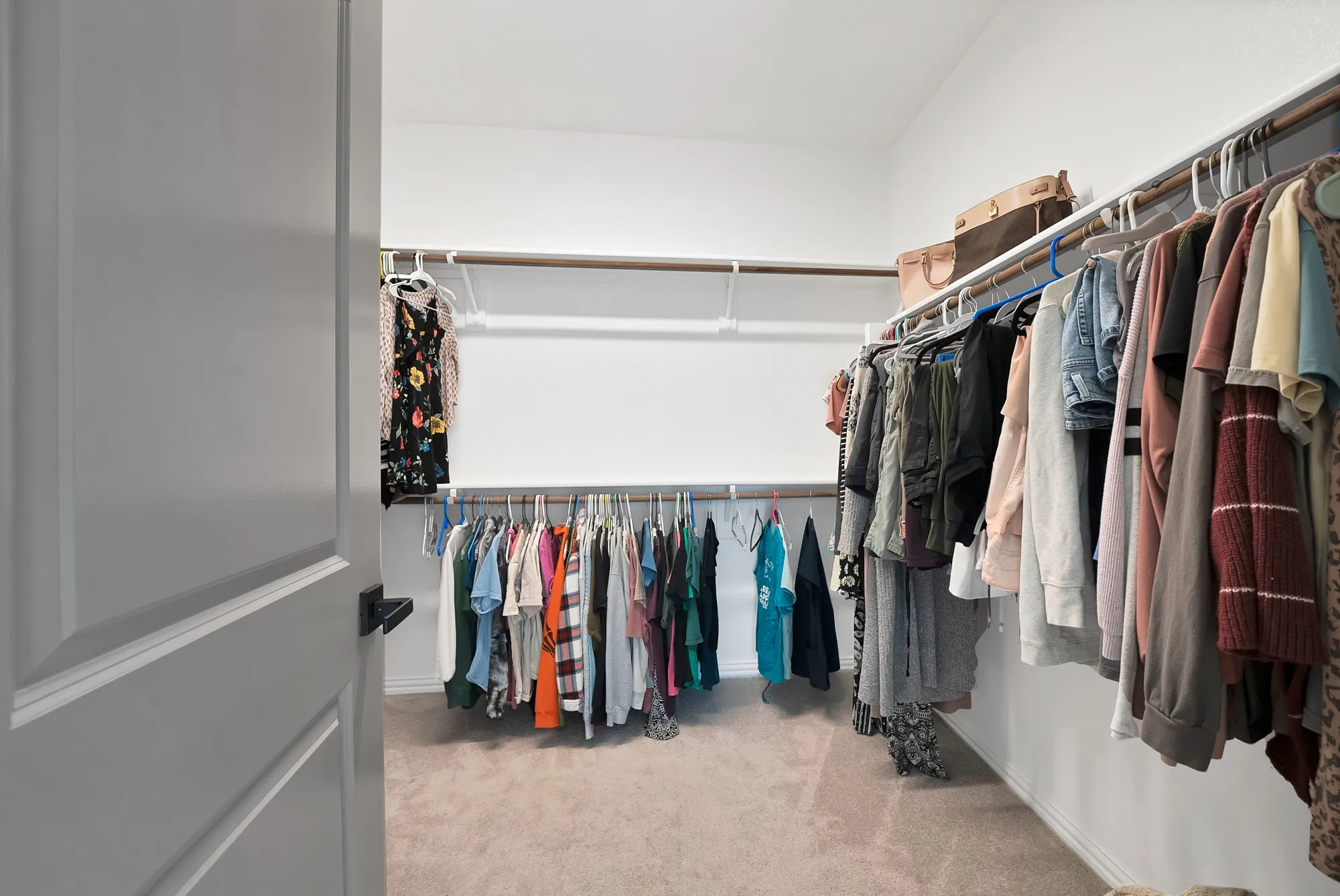 Walk-in closet featuring carpet flooring, crisp white walls, and built-in clothes rods with shelving