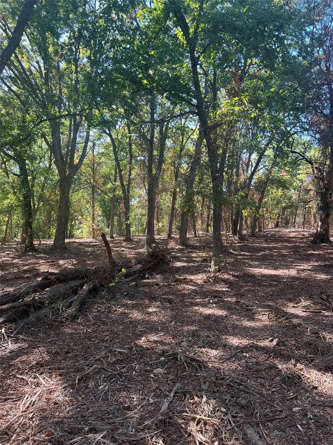 Unimproved Land For Sale in Grayson County , TBD3 Rochelle Cannon Road, Whitewright, Texas 75491, 0, 0, Garage spaces, 0 Sqft, built in 0, mls#21400282, Real Estate Agent in Whitewright, Homes For Sale in Grayson county, Homes For Sale in Whitewright, Realtor in Whitewright Texas, Real Estate Brokerage Independent Realty Texas, Luminita Cordes Realtor