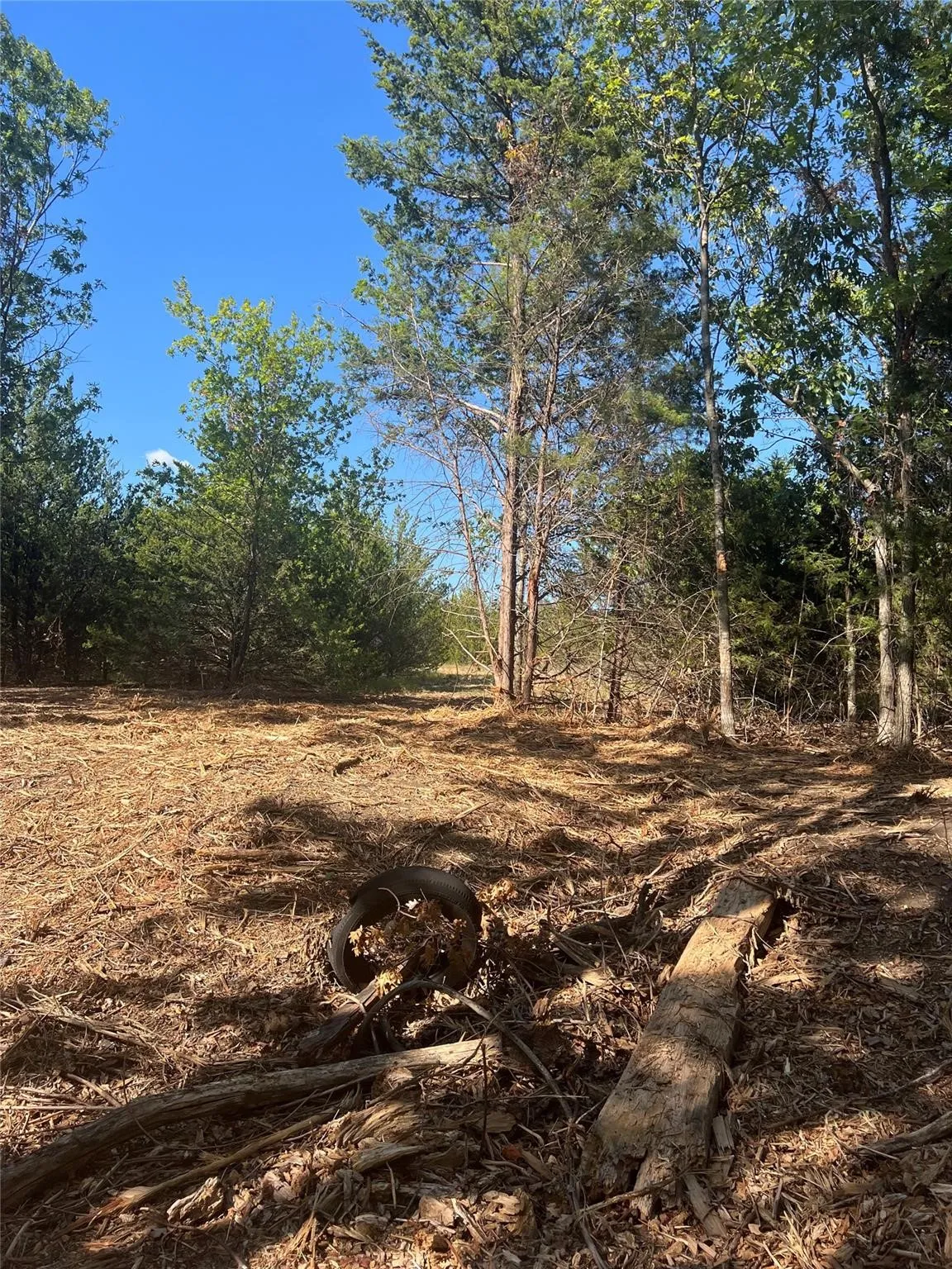 Unimproved Land For Sale in Grayson County , TBD3 Rochelle Cannon Road, Whitewright, Texas 75491, 0, 0, Garage spaces, 0 Sqft, built in 0, mls#21400282, Real Estate Agent in Whitewright, Homes For Sale in Grayson county, Homes For Sale in Whitewright, Realtor in Whitewright Texas, Real Estate Brokerage Independent Realty Texas, Luminita Cordes Realtor