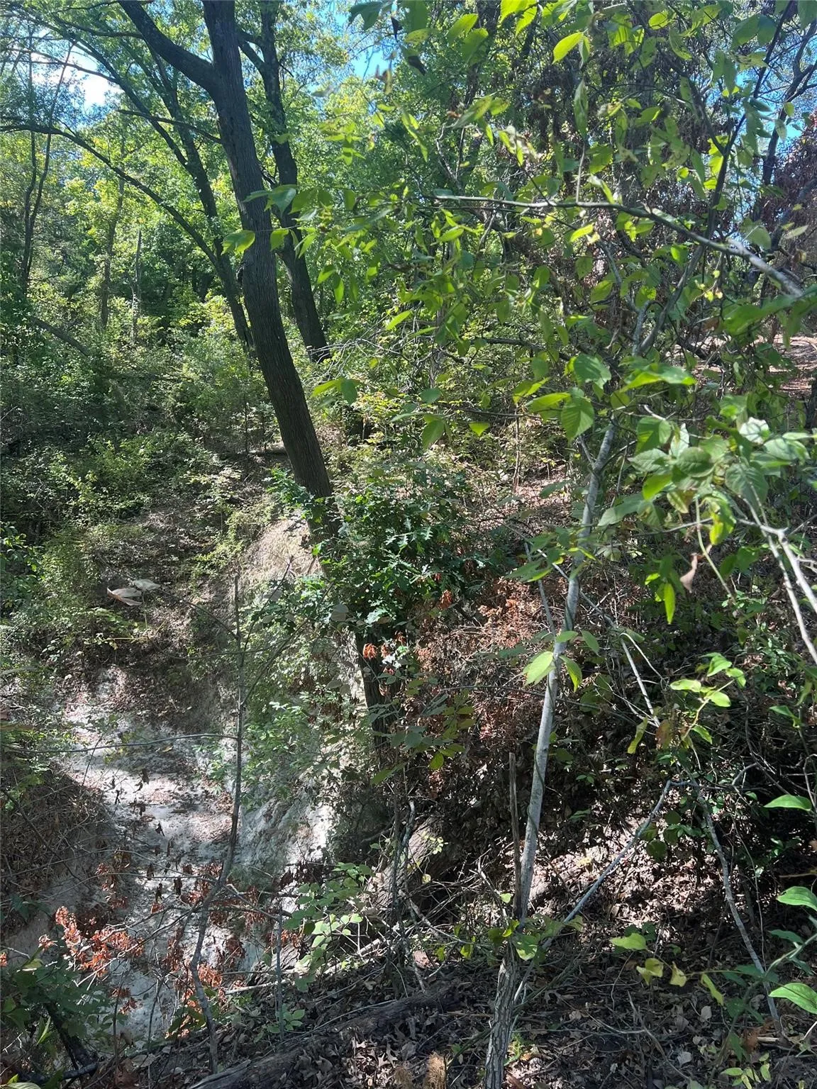 Unimproved Land For Sale in Grayson County , TBD3 Rochelle Cannon Road, Whitewright, Texas 75491, 0, 0, Garage spaces, 0 Sqft, built in 0, mls#21400282, Real Estate Agent in Whitewright, Homes For Sale in Grayson county, Homes For Sale in Whitewright, Realtor in Whitewright Texas, Real Estate Brokerage Independent Realty Texas, Luminita Cordes Realtor