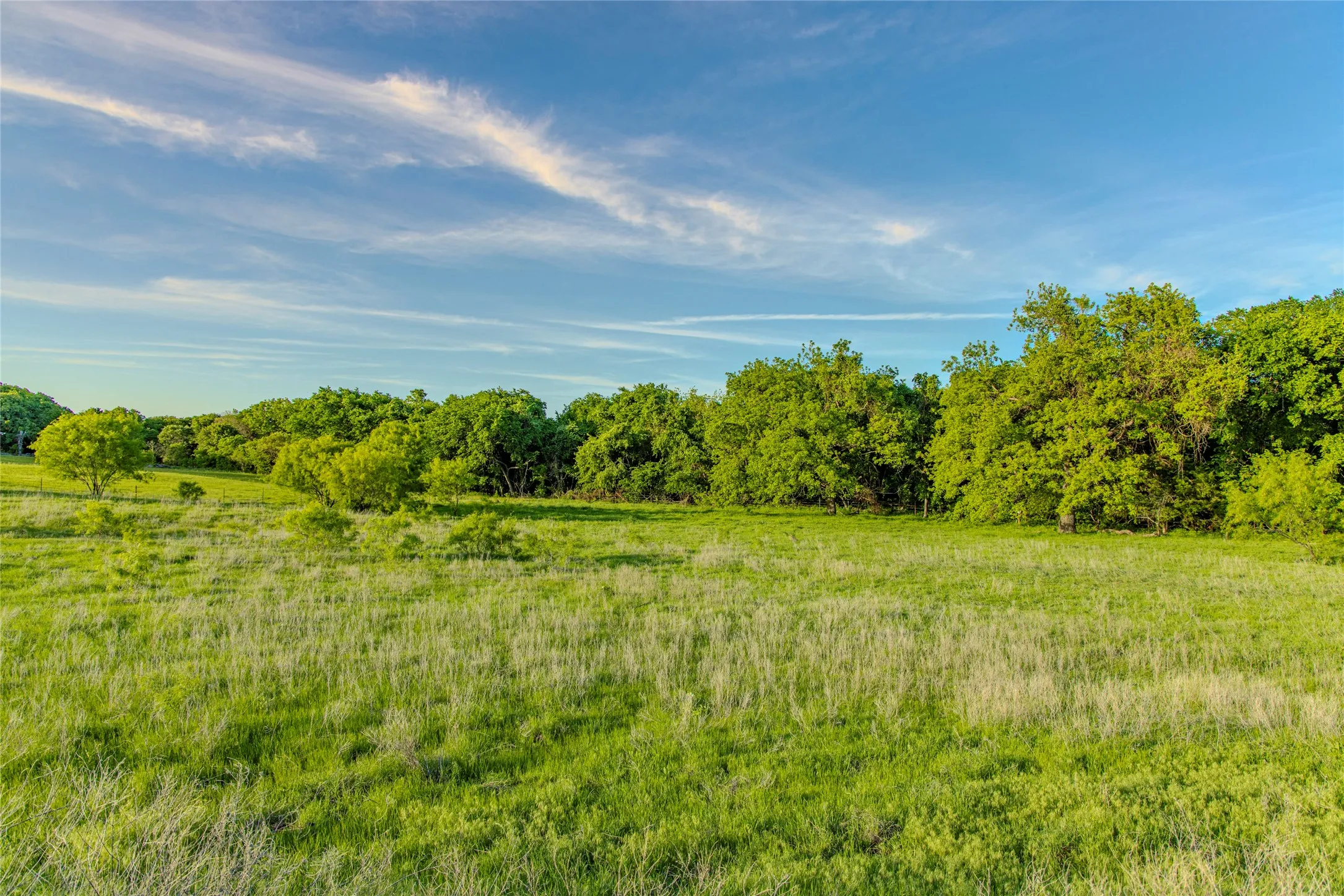 Unimproved Land For Sale in Wise County , 3790 N HWY 287, Alvord, Texas 76225, 0, 0, Garage spaces, 0 Sqft, built in 0, mls#21399822, Real Estate Agent in Alvord, Homes For Sale in Wise county, Homes For Sale in Alvord, Realtor in Alvord Texas, Real Estate Brokerage Independent Realty Texas, Luminita Cordes Realtor