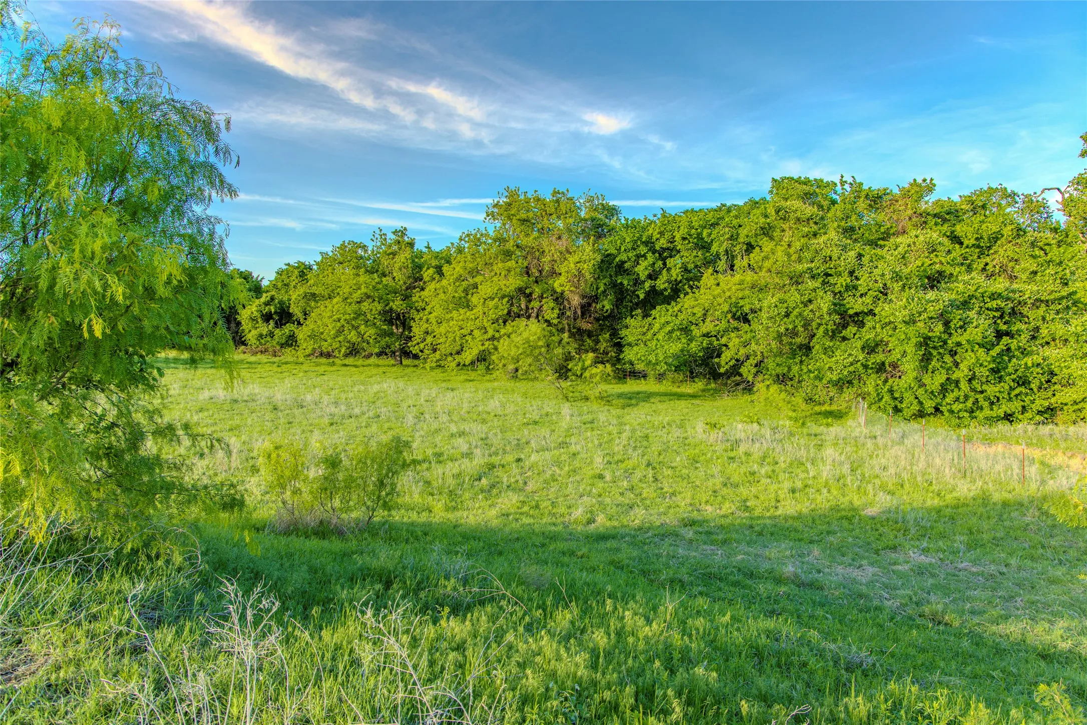 Unimproved Land For Sale in Wise County , 3790 N HWY 287, Alvord, Texas 76225, 0, 0, Garage spaces, 0 Sqft, built in 0, mls#21399822, Real Estate Agent in Alvord, Homes For Sale in Wise county, Homes For Sale in Alvord, Realtor in Alvord Texas, Real Estate Brokerage Independent Realty Texas, Luminita Cordes Realtor