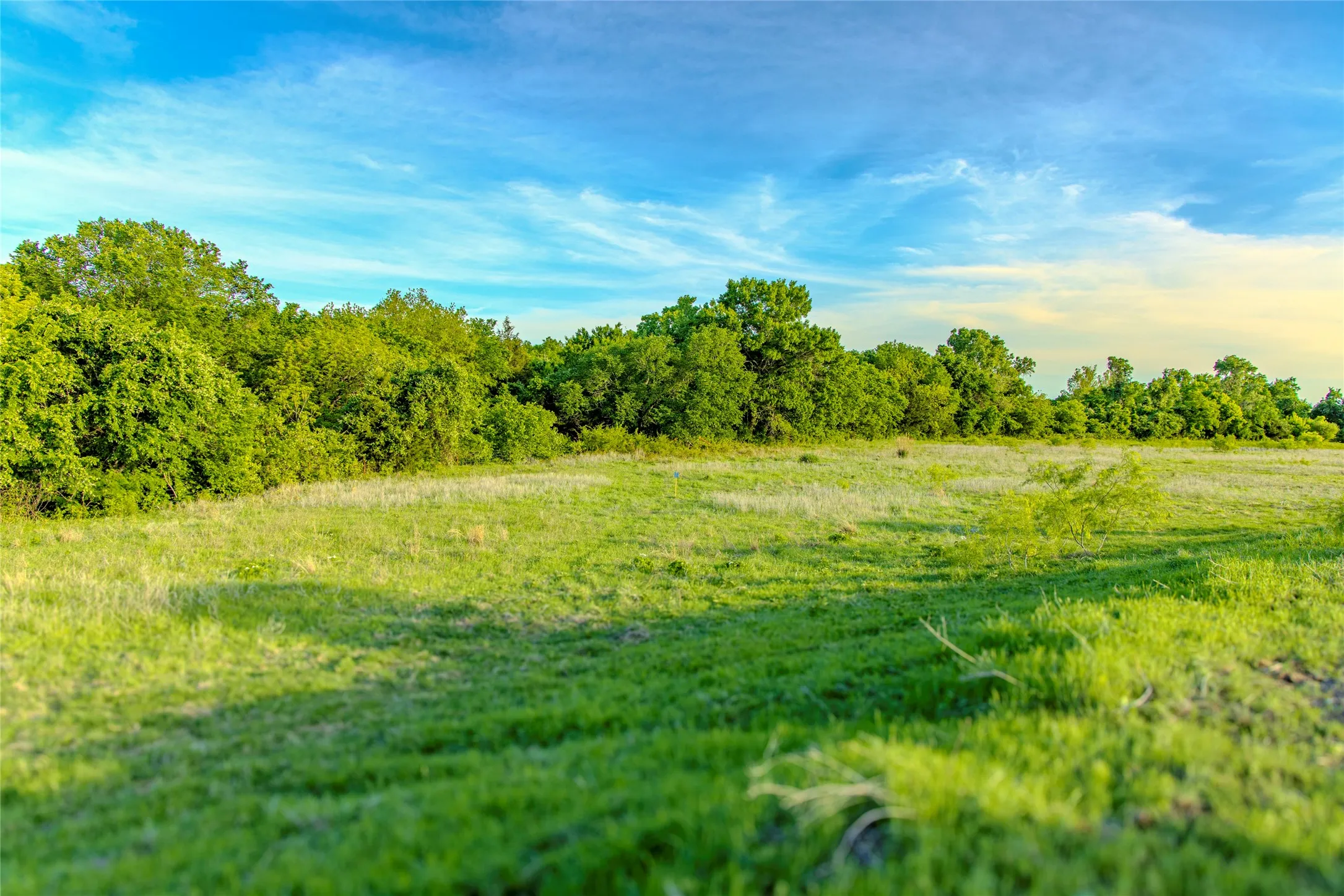Unimproved Land For Sale in Wise County , 3790 N HWY 287, Alvord, Texas 76225, 0, 0, Garage spaces, 0 Sqft, built in 0, mls#21399822, Real Estate Agent in Alvord, Homes For Sale in Wise county, Homes For Sale in Alvord, Realtor in Alvord Texas, Real Estate Brokerage Independent Realty Texas, Luminita Cordes Realtor