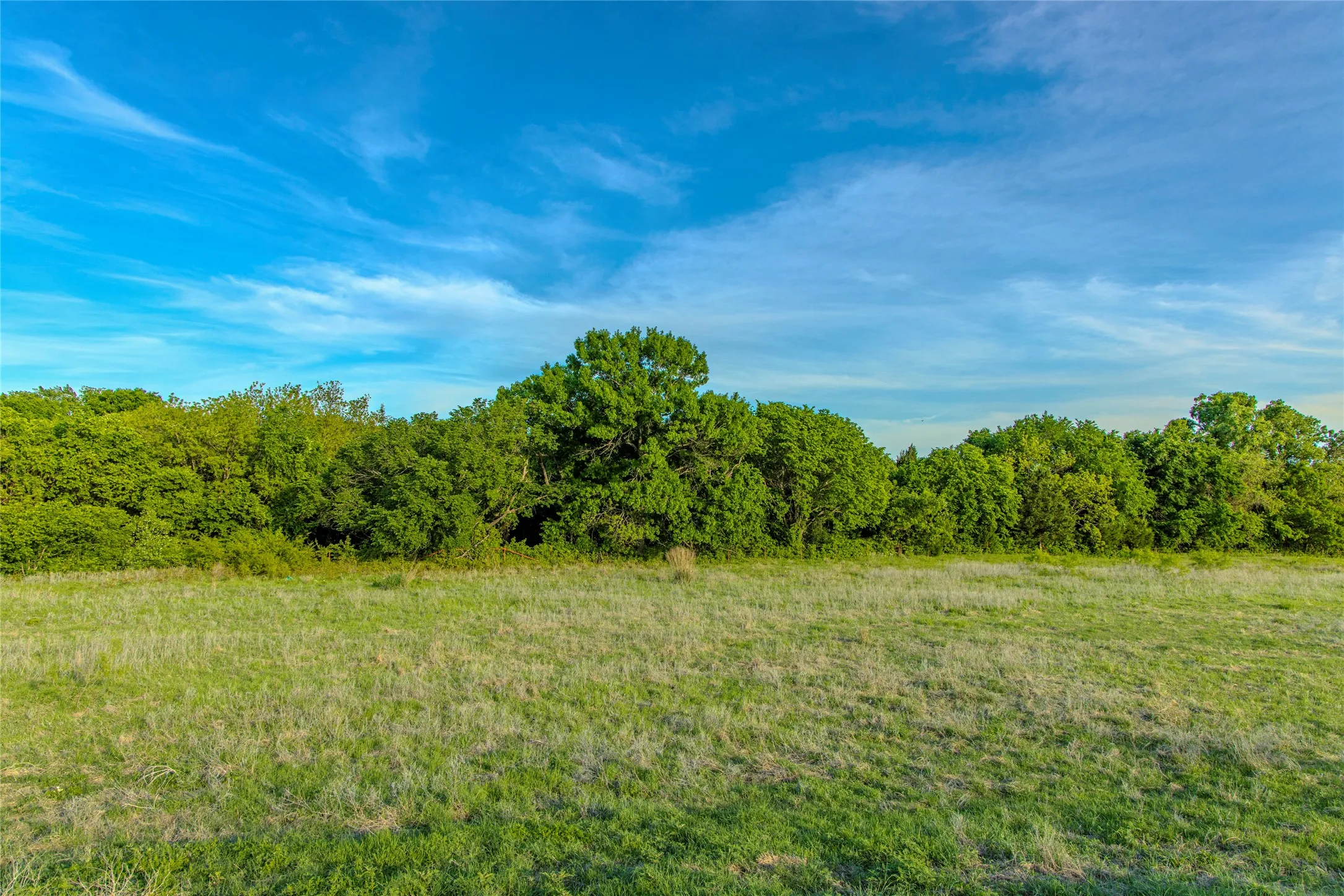 Unimproved Land For Sale in Wise County , 3790 N HWY 287, Alvord, Texas 76225, 0, 0, Garage spaces, 0 Sqft, built in 0, mls#21399822, Real Estate Agent in Alvord, Homes For Sale in Wise county, Homes For Sale in Alvord, Realtor in Alvord Texas, Real Estate Brokerage Independent Realty Texas, Luminita Cordes Realtor