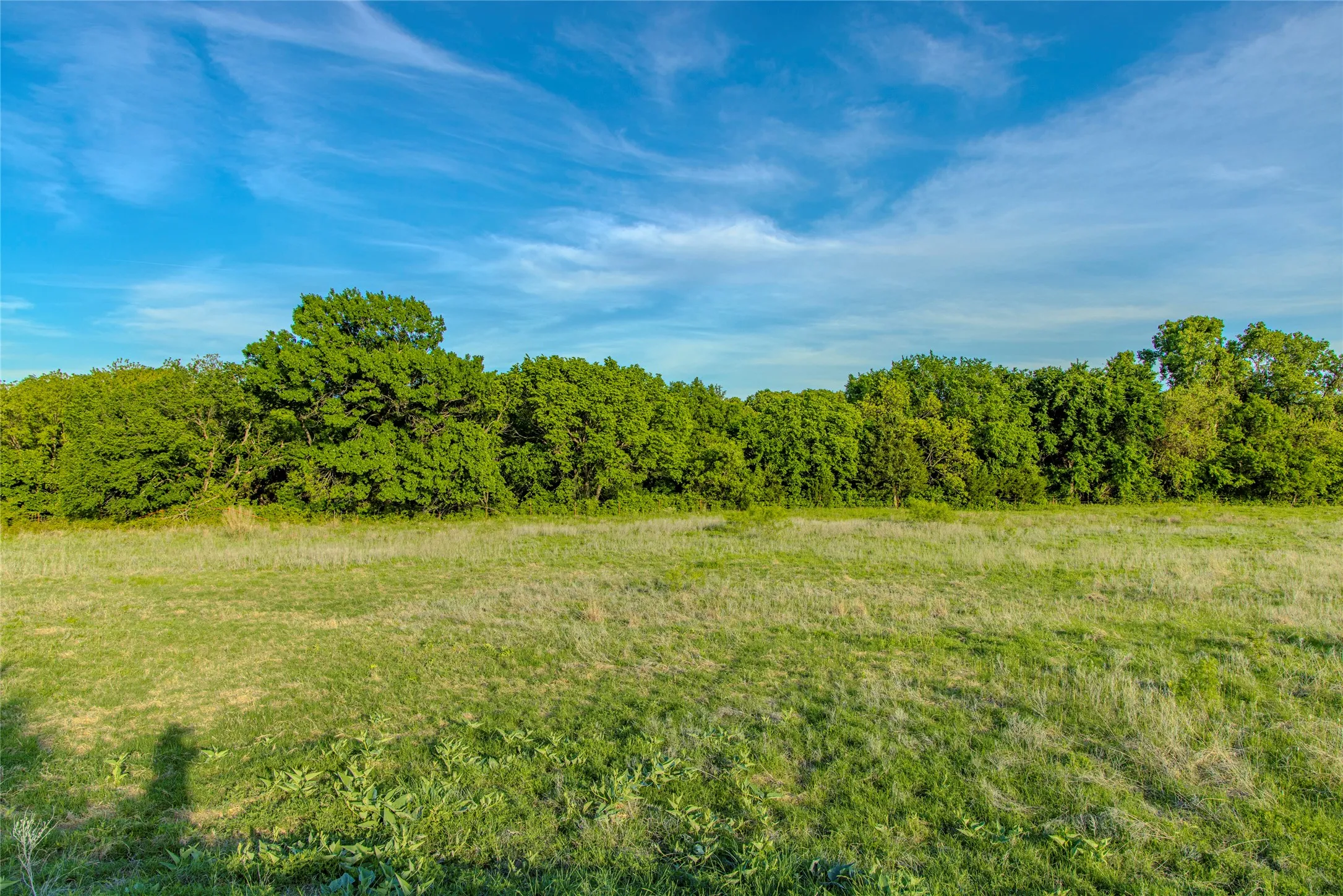 Unimproved Land For Sale in Wise County , 3790 N HWY 287, Alvord, Texas 76225, 0, 0, Garage spaces, 0 Sqft, built in 0, mls#21399822, Real Estate Agent in Alvord, Homes For Sale in Wise county, Homes For Sale in Alvord, Realtor in Alvord Texas, Real Estate Brokerage Independent Realty Texas, Luminita Cordes Realtor