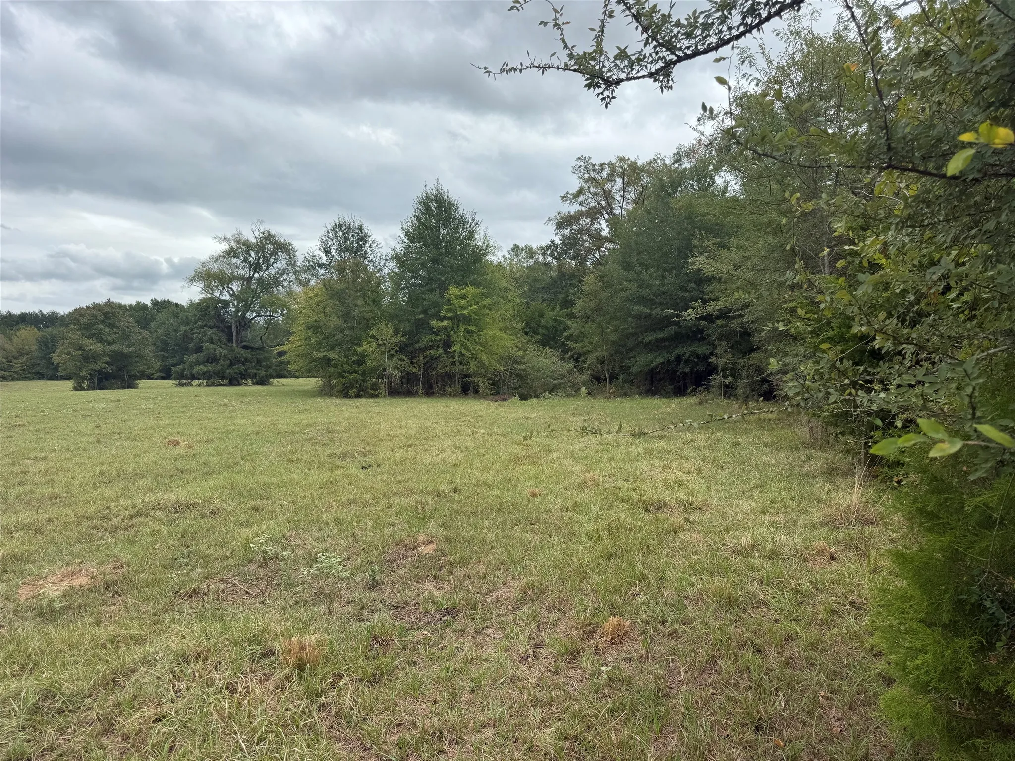 Unimproved Land For Sale in Van Zandt County , 7.49 (+/-) I-20, Canton, Texas 75103, 0, 0, Garage spaces, 0 Sqft, built in 0, mls#21400304, Real Estate Agent in Canton, Homes For Sale in Van Zandt county, Homes For Sale in Canton, Realtor in Canton Texas, Real Estate Brokerage Independent Realty Texas, Luminita Cordes Realtor