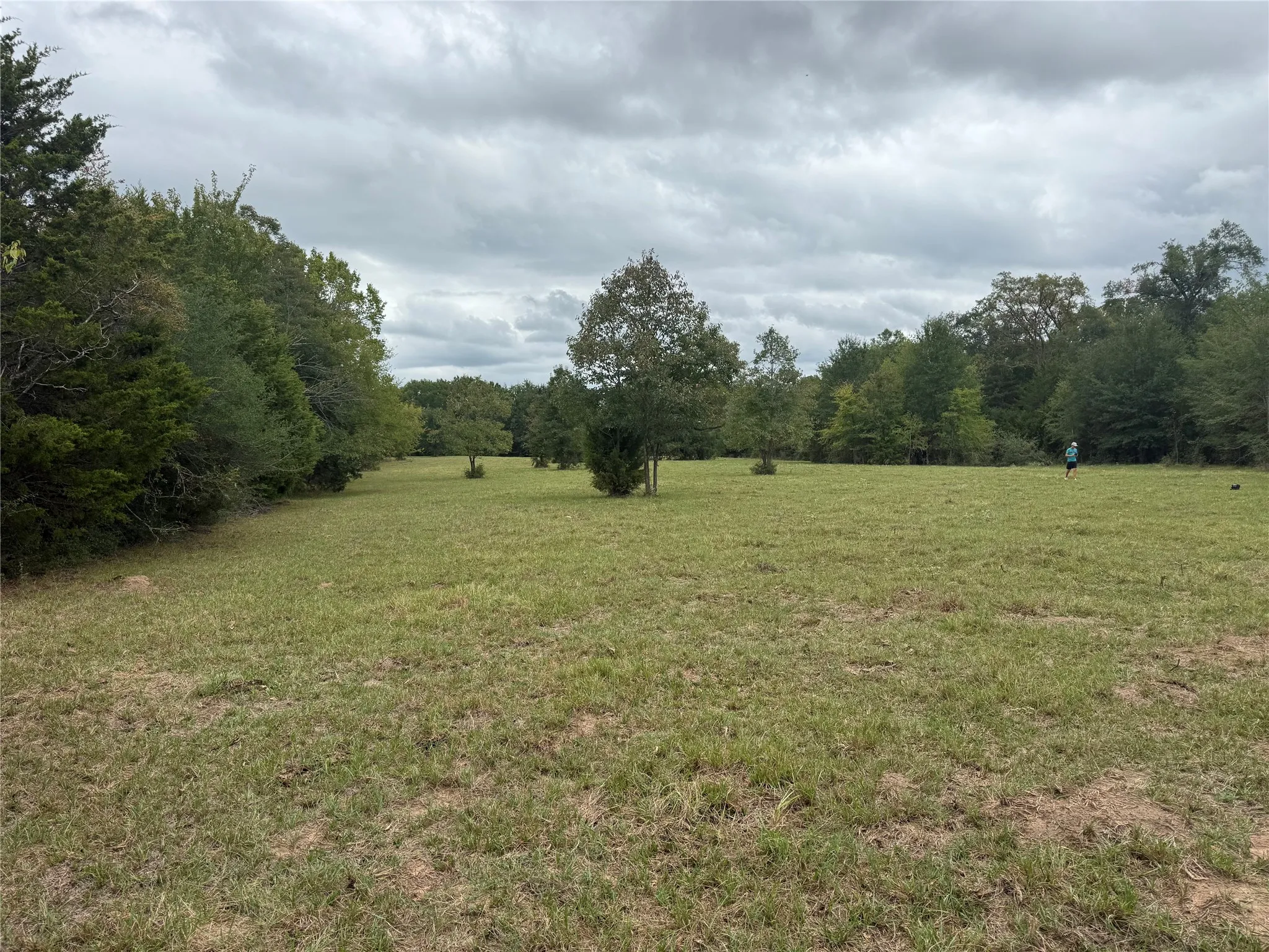 Unimproved Land For Sale in Van Zandt County , 7.49 (+/-) I-20, Canton, Texas 75103, 0, 0, Garage spaces, 0 Sqft, built in 0, mls#21400304, Real Estate Agent in Canton, Homes For Sale in Van Zandt county, Homes For Sale in Canton, Realtor in Canton Texas, Real Estate Brokerage Independent Realty Texas, Luminita Cordes Realtor