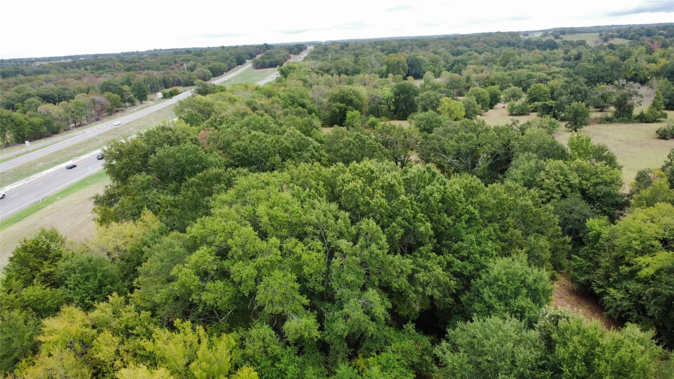 Unimproved Land For Sale in Van Zandt County , 7.49 (+/-) I-20, Canton, Texas 75103, 0, 0, Garage spaces, 0 Sqft, built in 0, mls#21400304, Real Estate Agent in Canton, Homes For Sale in Van Zandt county, Homes For Sale in Canton, Realtor in Canton Texas, Real Estate Brokerage Independent Realty Texas, Luminita Cordes Realtor