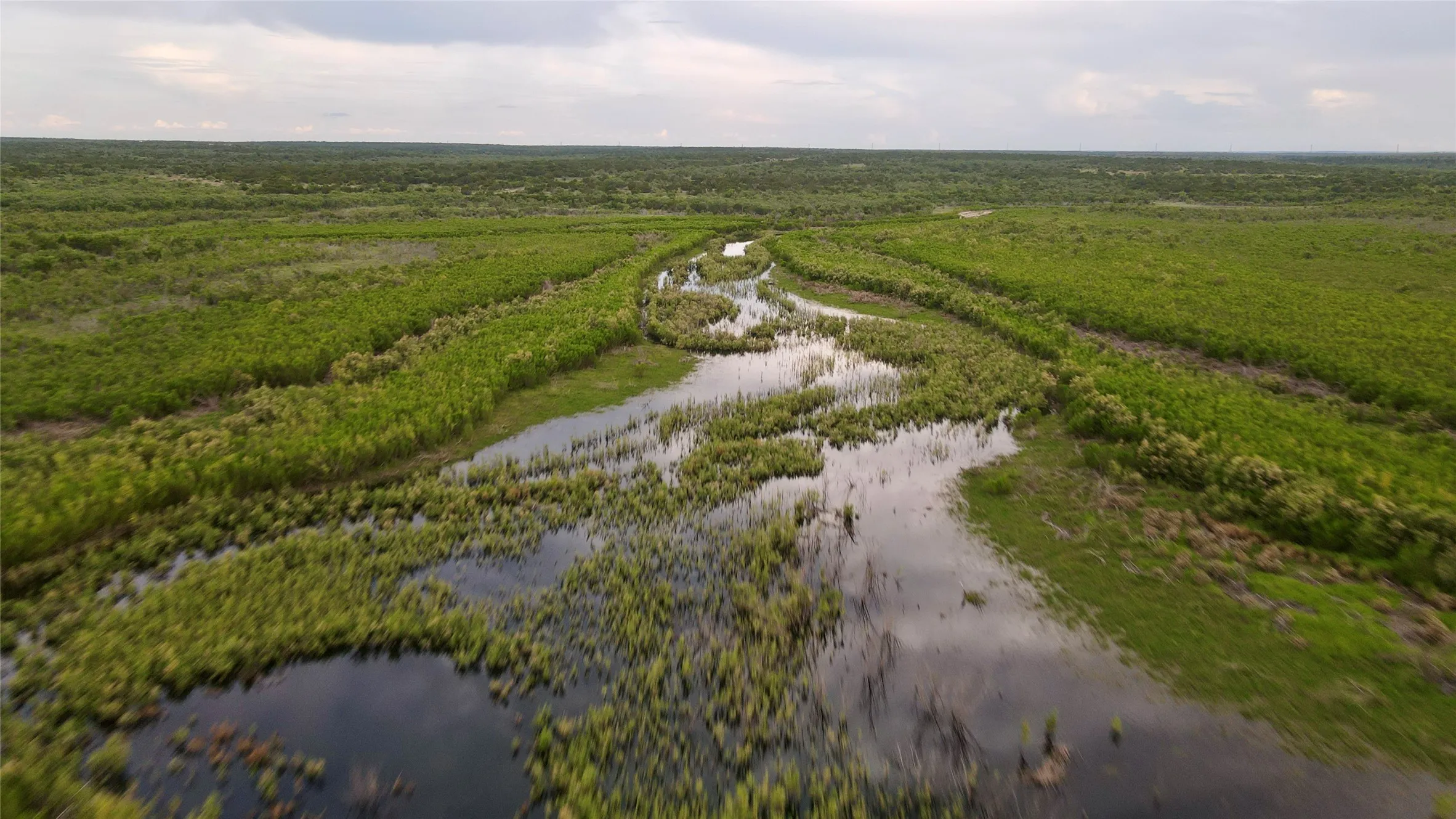 Aerial view of a nearby body of water and a forest