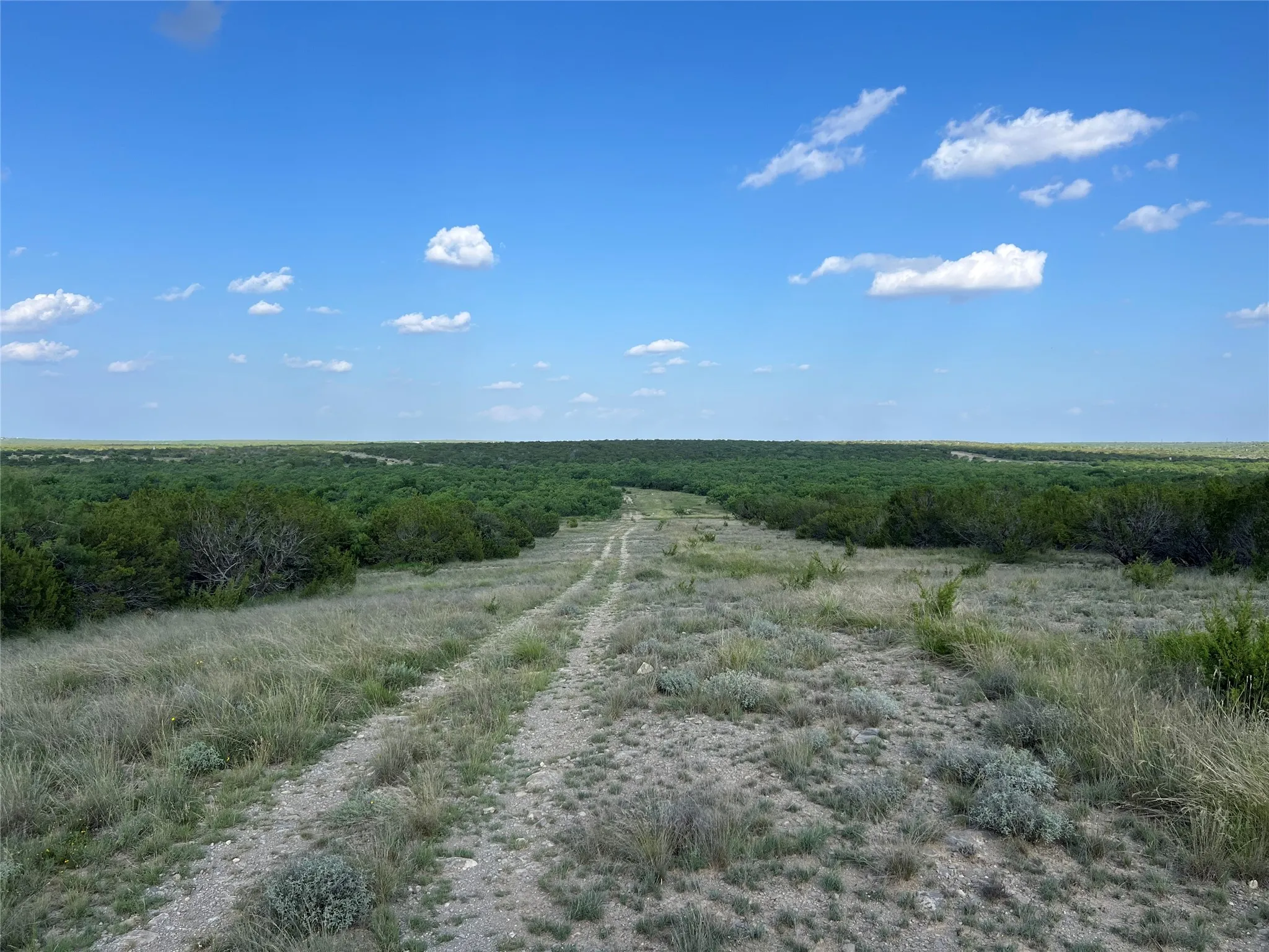 View of woods with a rural view