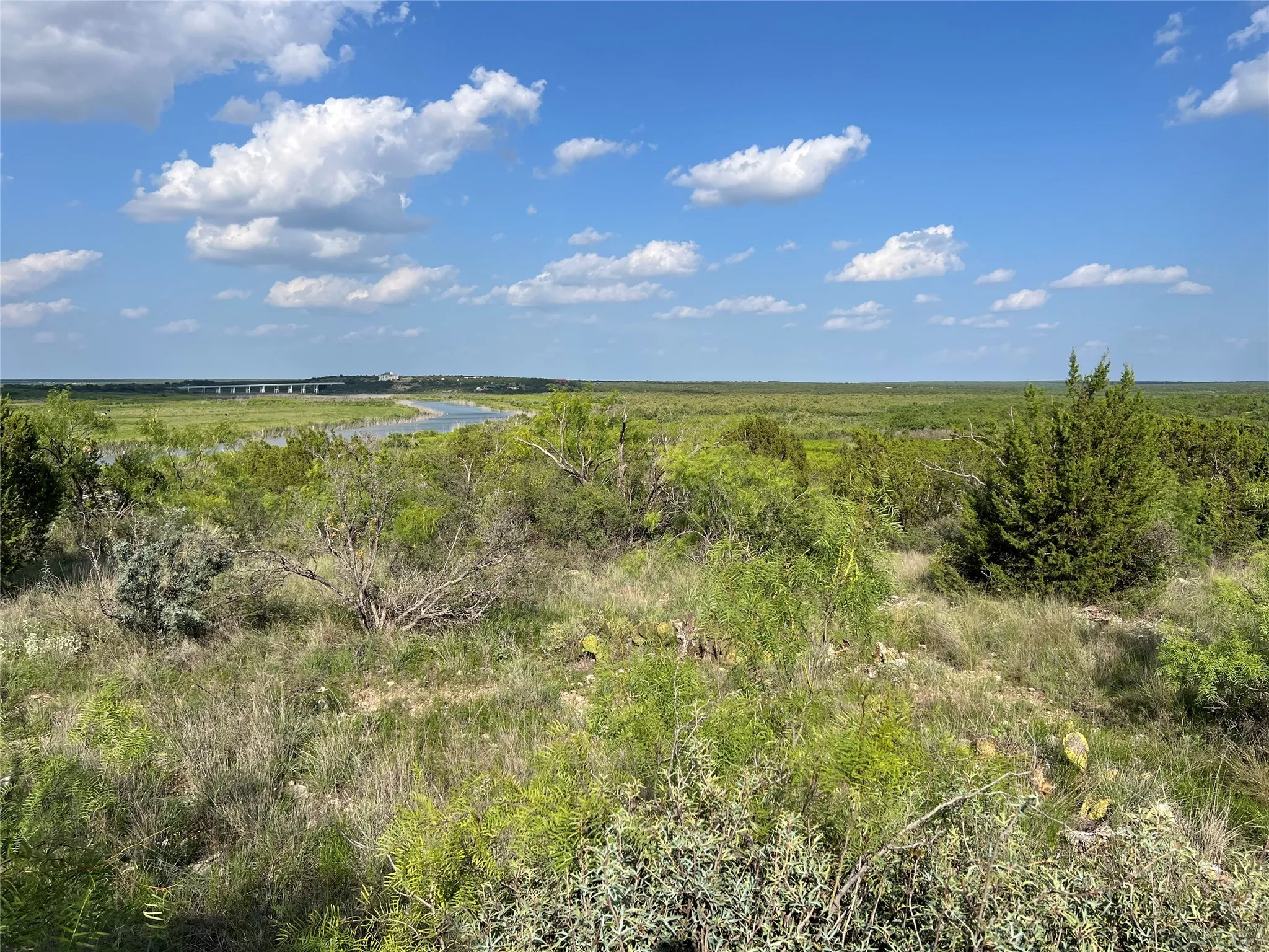 View of undeveloped land