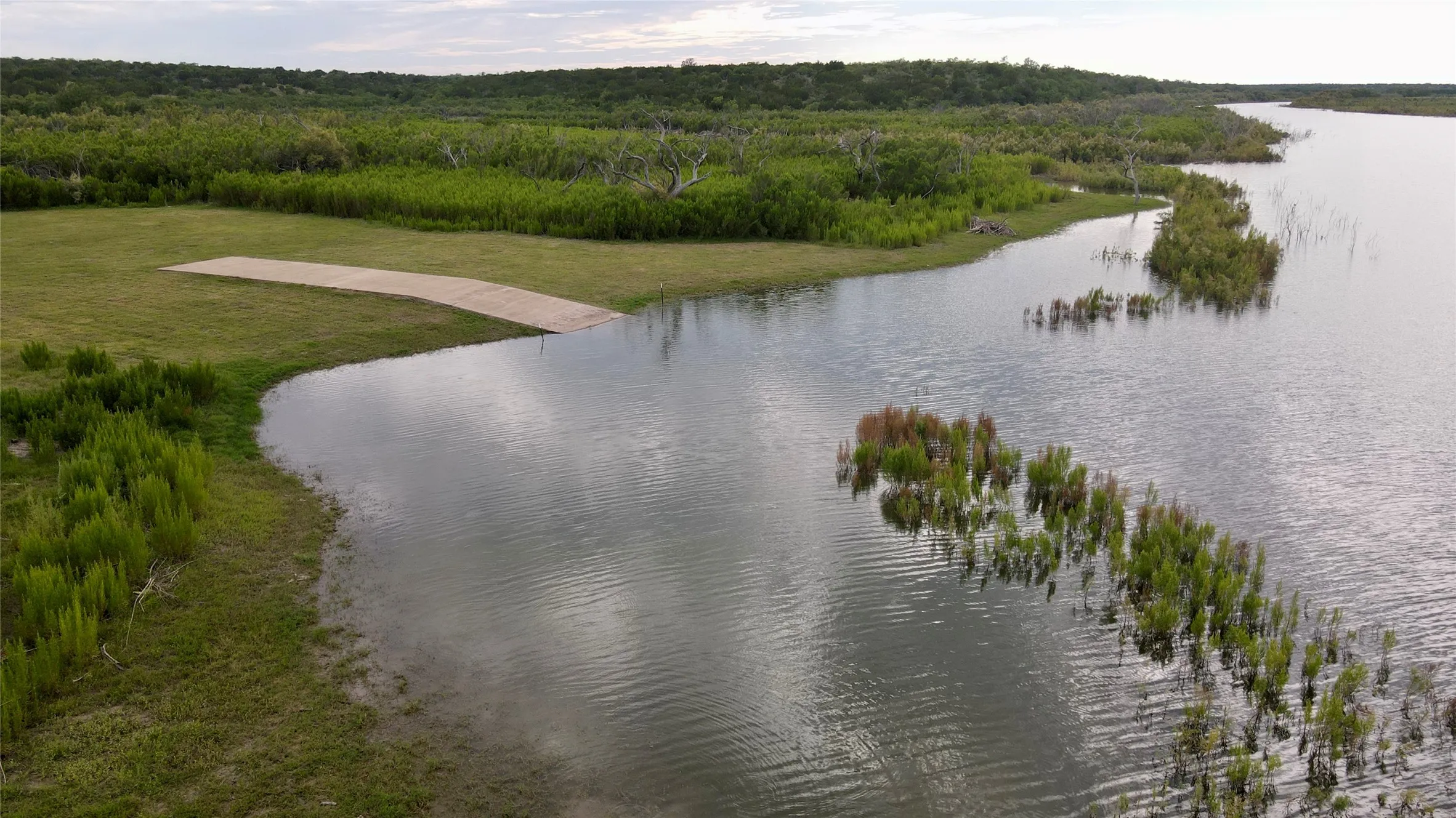 Water view featuring a forest