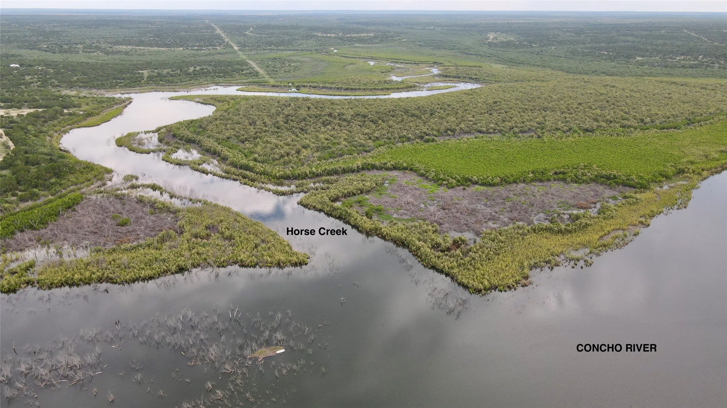 Drone / aerial view of a forest and a nearby body of water