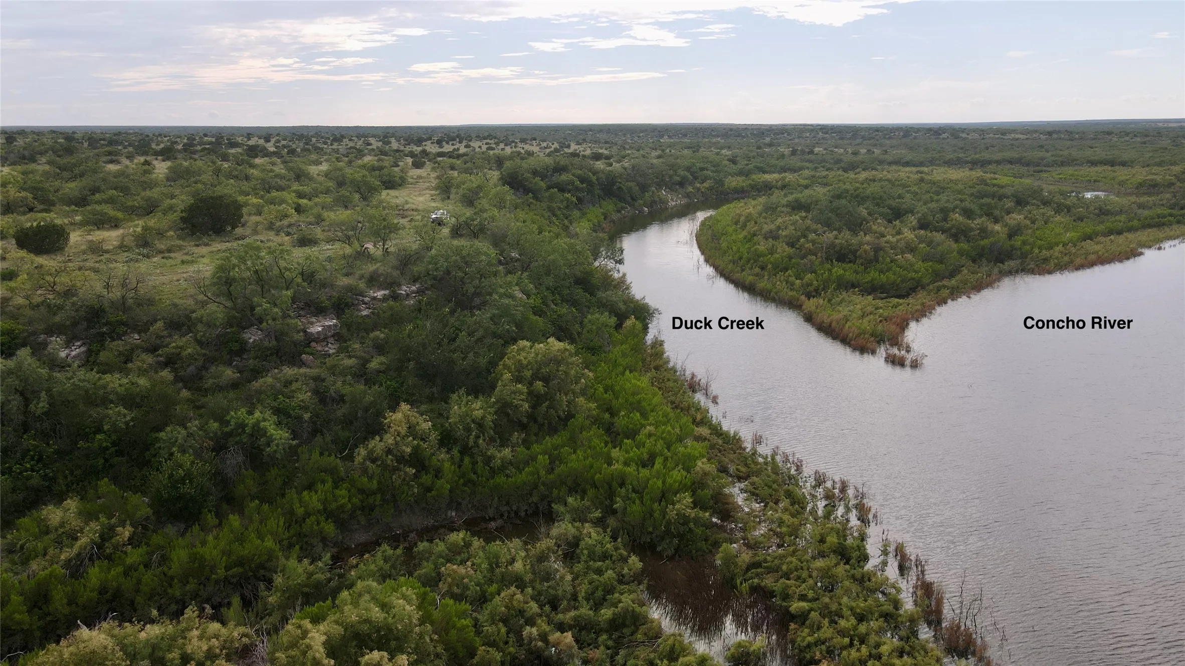 Drone / aerial view of a heavily wooded area and a nearby body of water