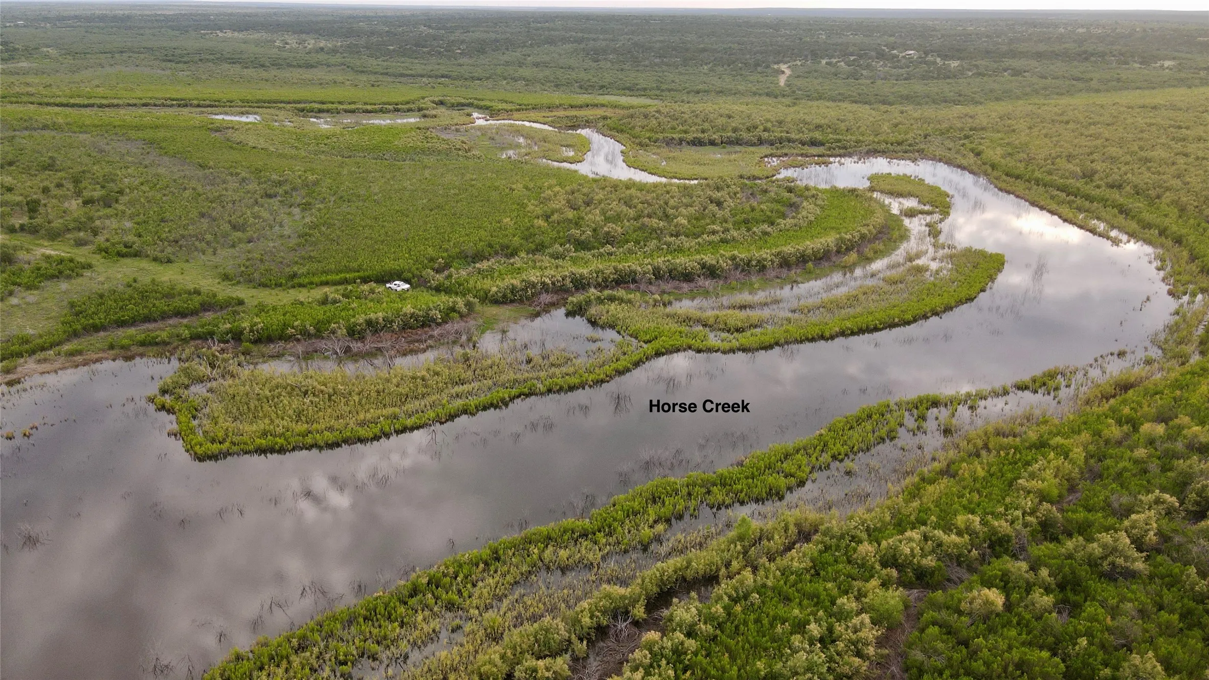 Aerial view of a forest