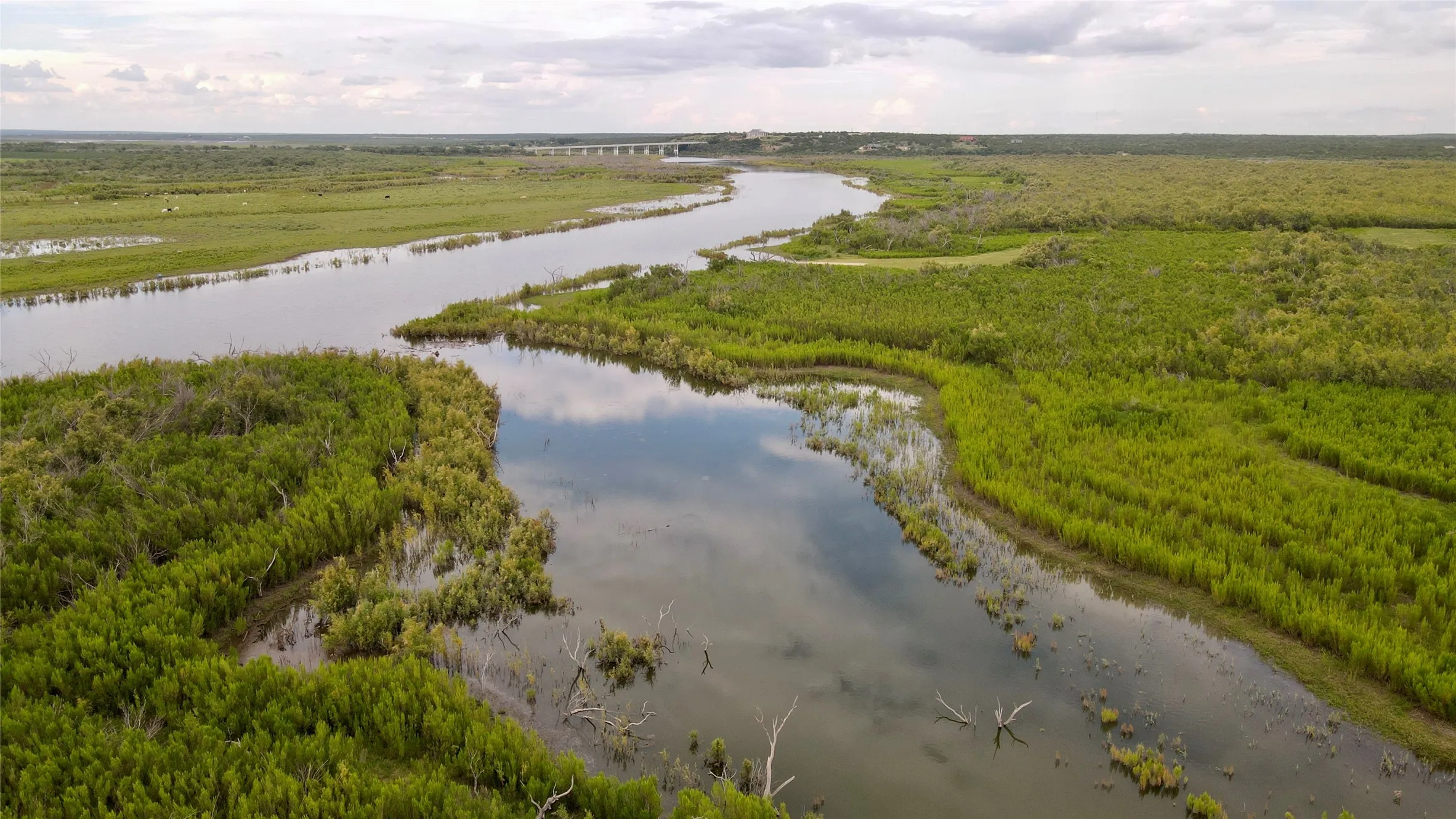 Aerial view of a large body of water and a heavily wooded area