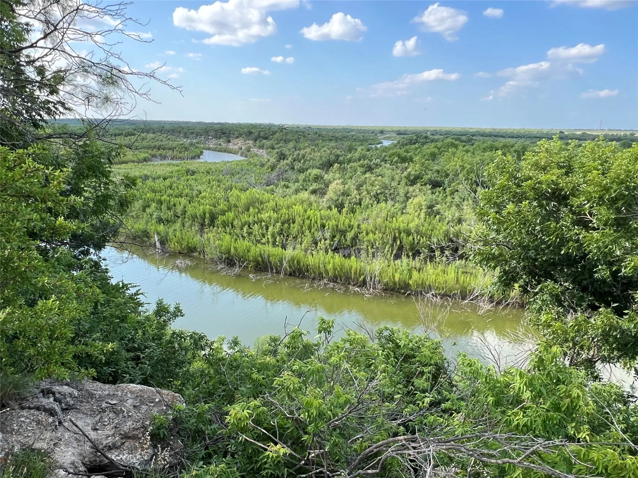 Water view with a forest