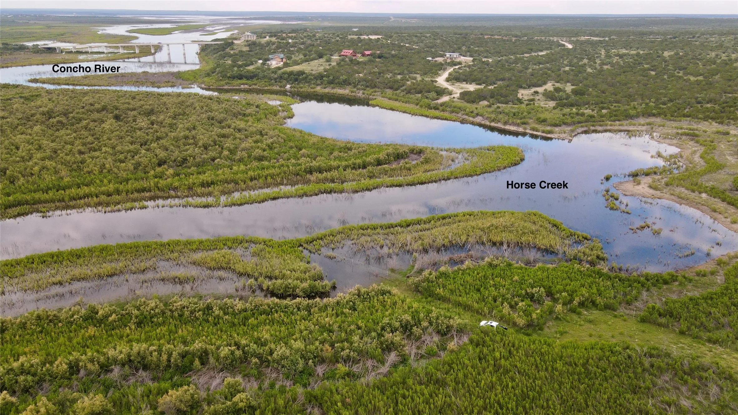 Drone / aerial view of a forest and a nearby body of water