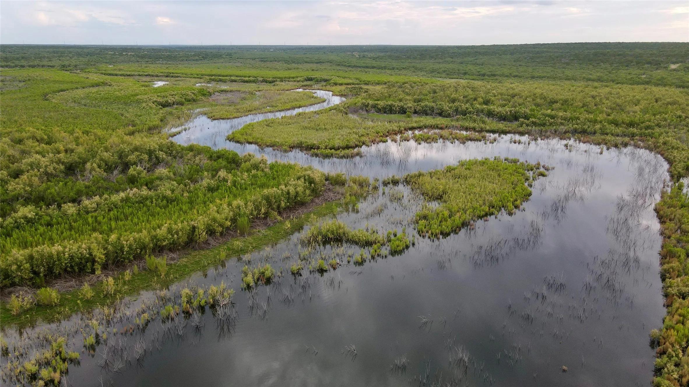 Drone / aerial view of a heavily wooded area and a large body of water