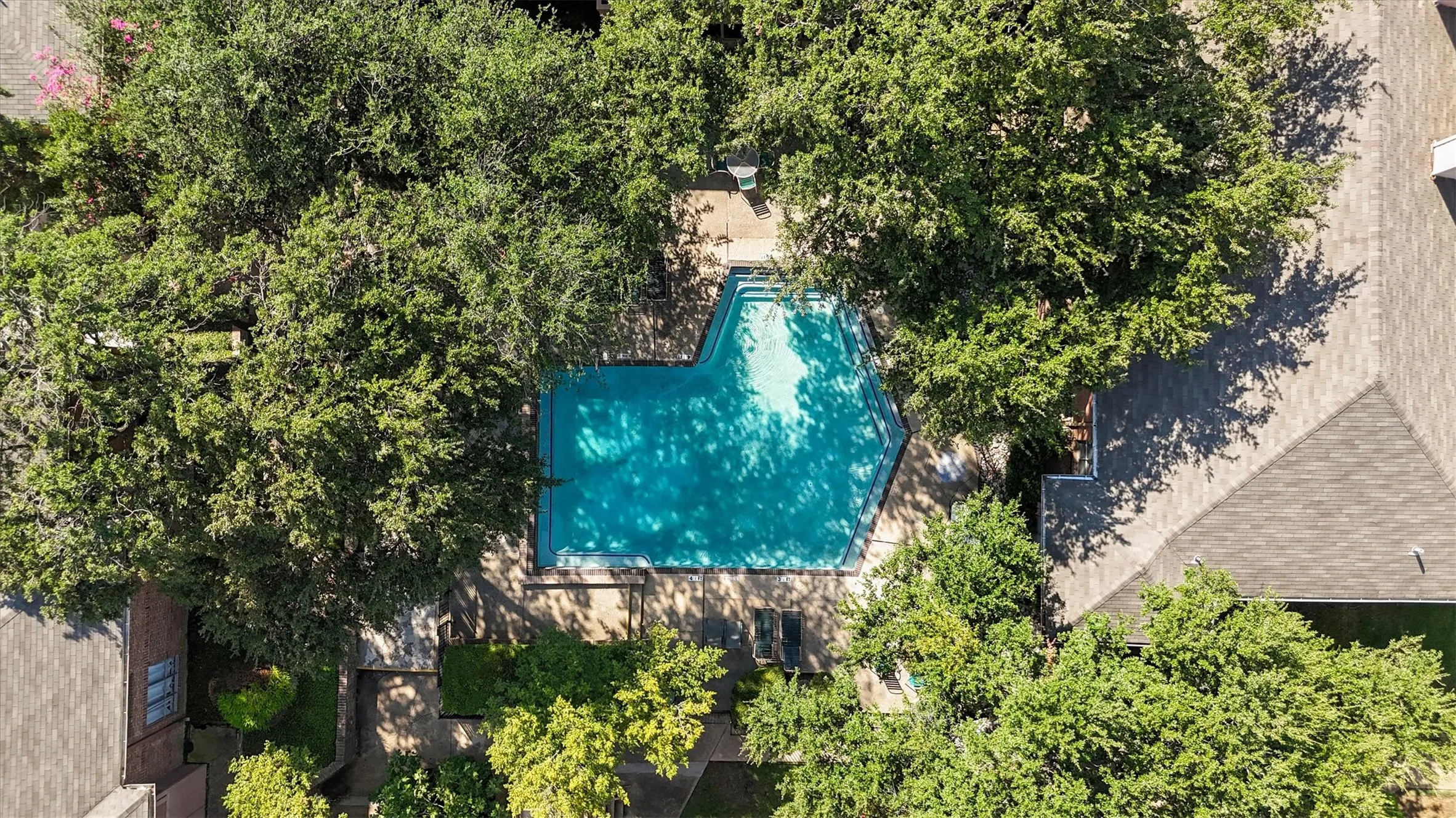 Irregularly shaped swimming pool with a surrounding paved deck, bordered by mature trees and residential structures with shingle roofing