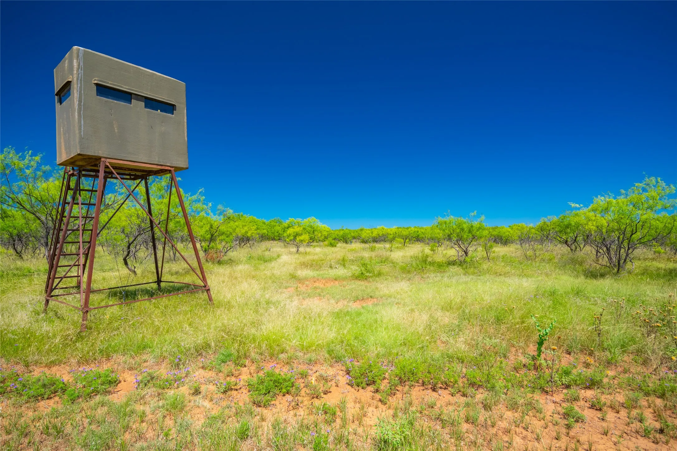 Ranch For Sale in Young County , 9877 Fm 209, Graham, Texas 76450, 0, 0, Garage spaces, 0 Sqft, built in 2022, mls#21400338, Real Estate Agent in Graham, Homes For Sale in Young county, Homes For Sale in Graham, Realtor in Graham Texas, Real Estate Brokerage Independent Realty Texas, Luminita Cordes Realtor