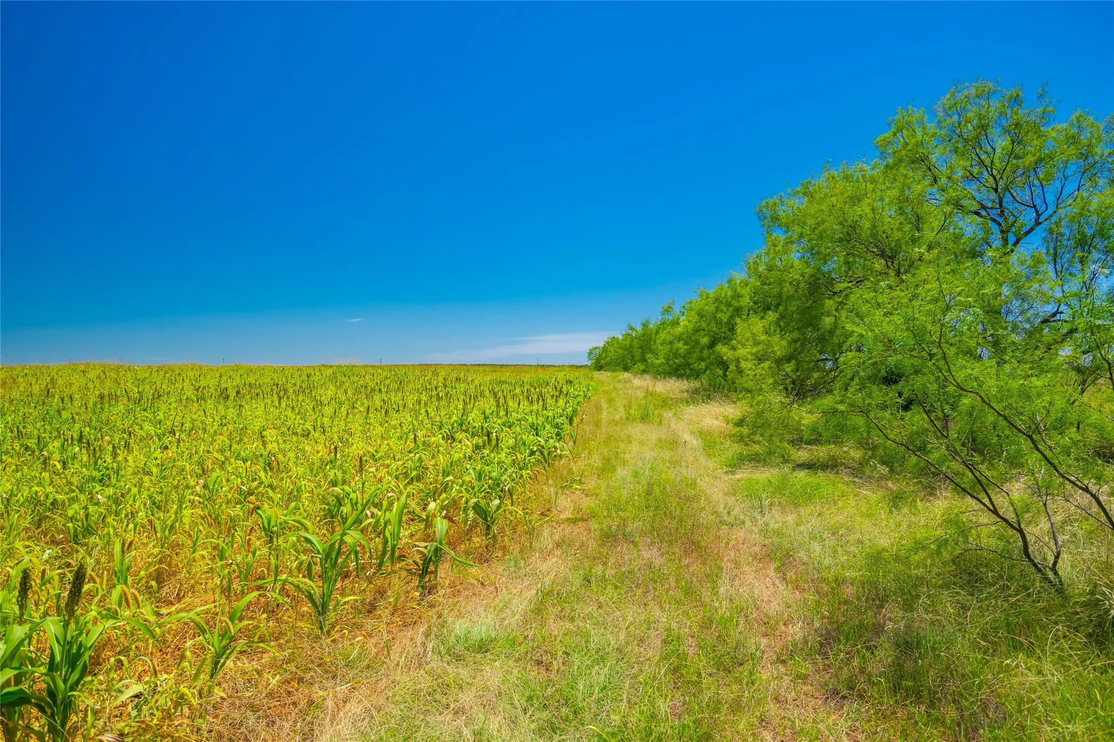 Ranch For Sale in Young County , 9877 Fm 209, Graham, Texas 76450, 0, 0, Garage spaces, 0 Sqft, built in 2022, mls#21400338, Real Estate Agent in Graham, Homes For Sale in Young county, Homes For Sale in Graham, Realtor in Graham Texas, Real Estate Brokerage Independent Realty Texas, Luminita Cordes Realtor