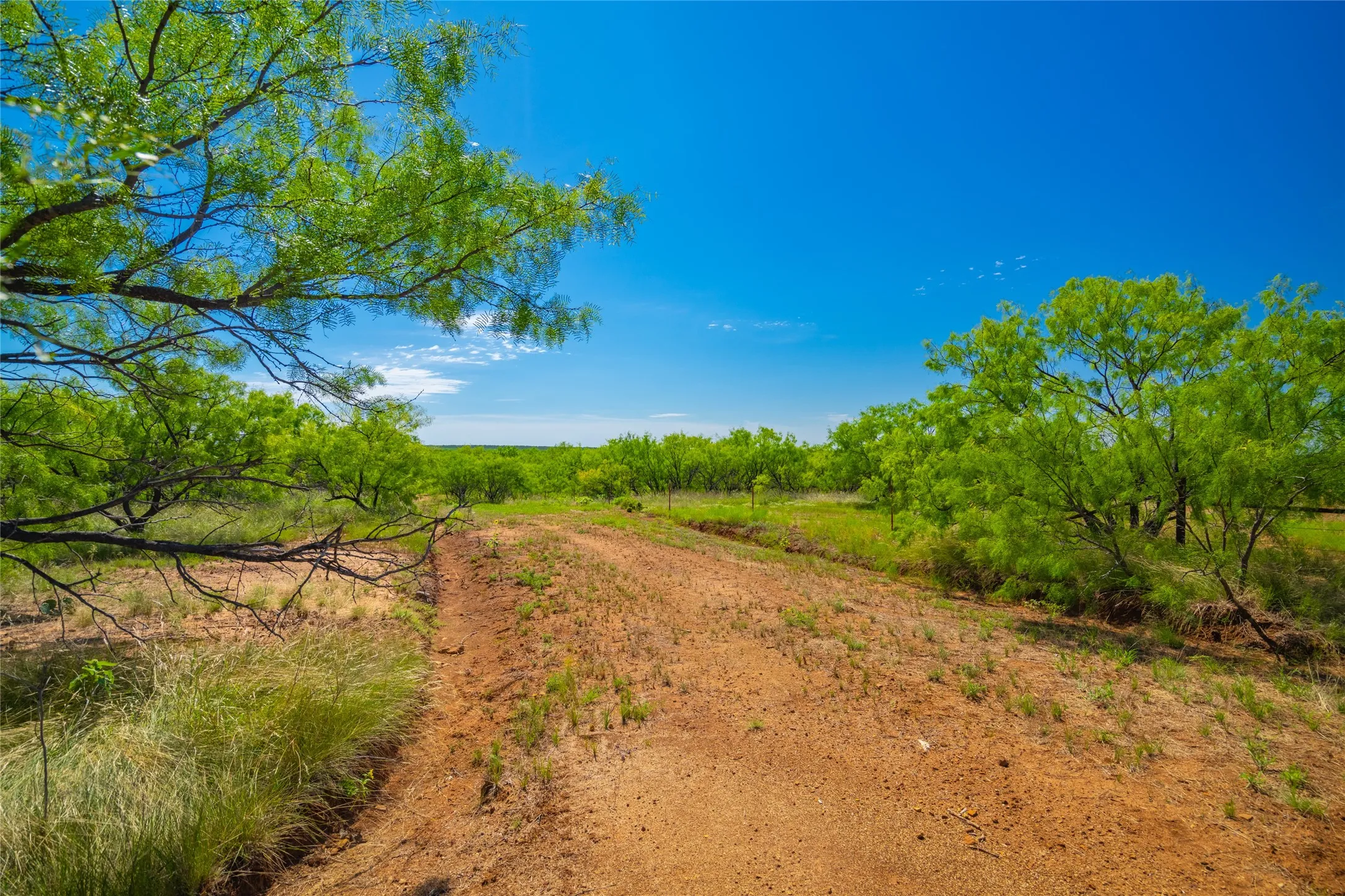 Ranch For Sale in Young County , 9877 Fm 209, Graham, Texas 76450, 0, 0, Garage spaces, 0 Sqft, built in 2022, mls#21400338, Real Estate Agent in Graham, Homes For Sale in Young county, Homes For Sale in Graham, Realtor in Graham Texas, Real Estate Brokerage Independent Realty Texas, Luminita Cordes Realtor