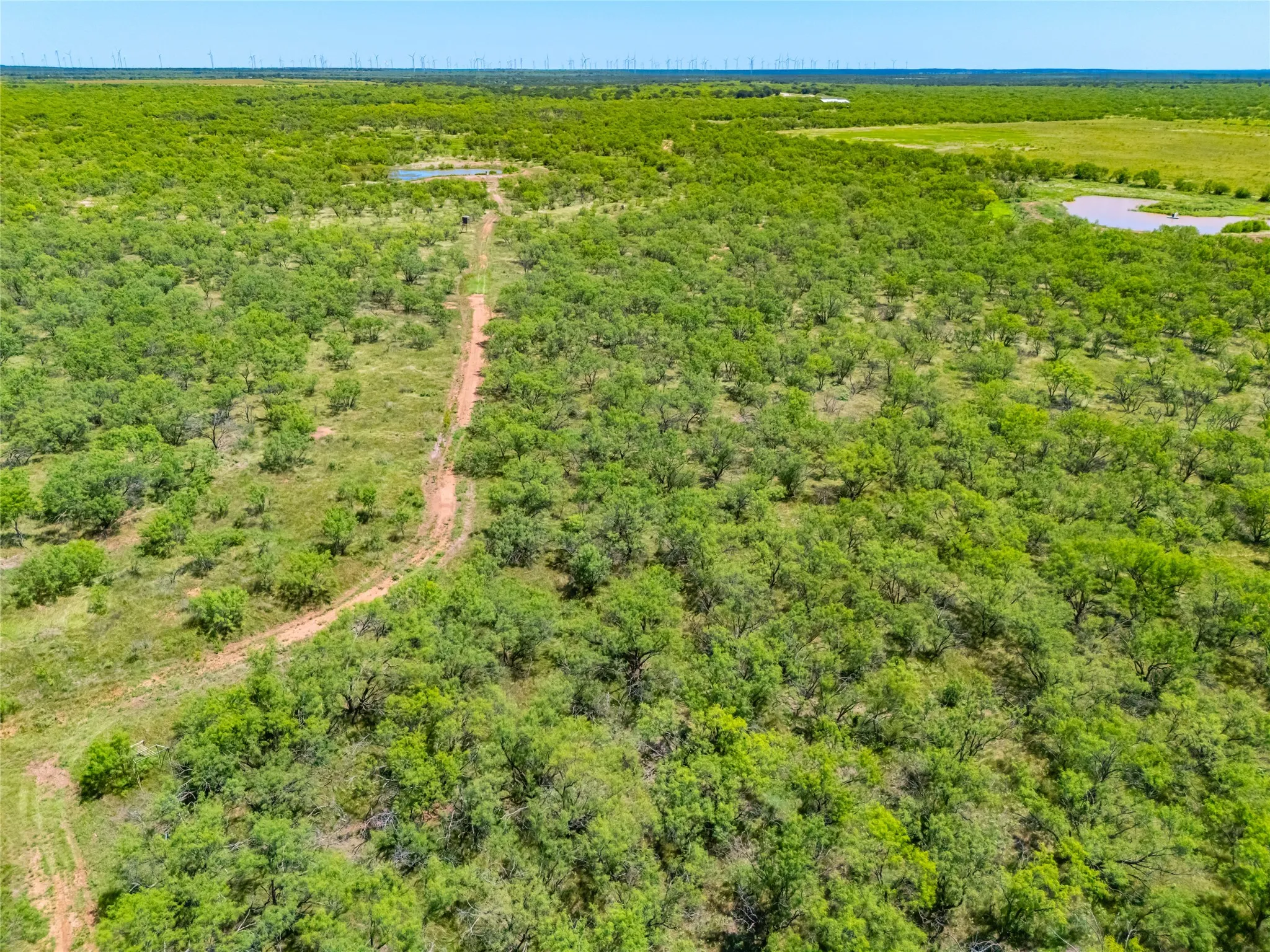 Ranch For Sale in Young County , 9877 Fm 209, Graham, Texas 76450, 0, 0, Garage spaces, 0 Sqft, built in 2022, mls#21400338, Real Estate Agent in Graham, Homes For Sale in Young county, Homes For Sale in Graham, Realtor in Graham Texas, Real Estate Brokerage Independent Realty Texas, Luminita Cordes Realtor
