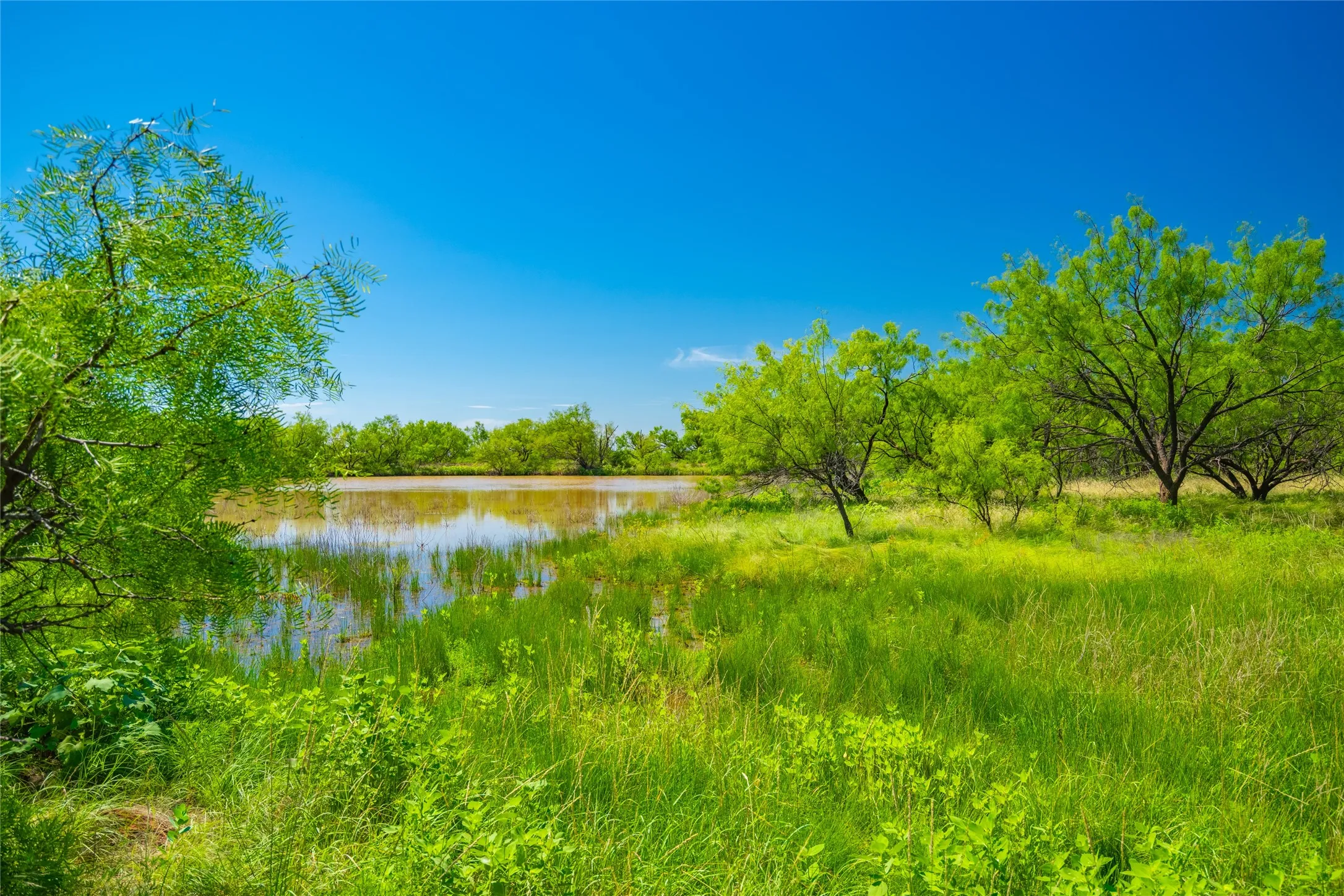 Ranch For Sale in Young County , 9877 Fm 209, Graham, Texas 76450, 0, 0, Garage spaces, 0 Sqft, built in 2022, mls#21400338, Real Estate Agent in Graham, Homes For Sale in Young county, Homes For Sale in Graham, Realtor in Graham Texas, Real Estate Brokerage Independent Realty Texas, Luminita Cordes Realtor