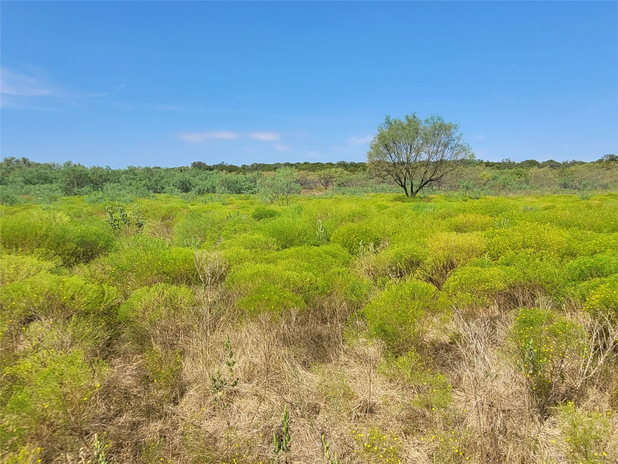 Ranch For Sale in Brown County , 14426 County Road 211, Brookesmith, Texas 76827, 0, 0, Garage spaces, 0 Sqft, built in 2017, mls#21400080, Real Estate Agent in Brookesmith, Homes For Sale in Brown county, Homes For Sale in Brookesmith, Realtor in Brookesmith Texas, Real Estate Brokerage Independent Realty Texas, Luminita Cordes Realtor