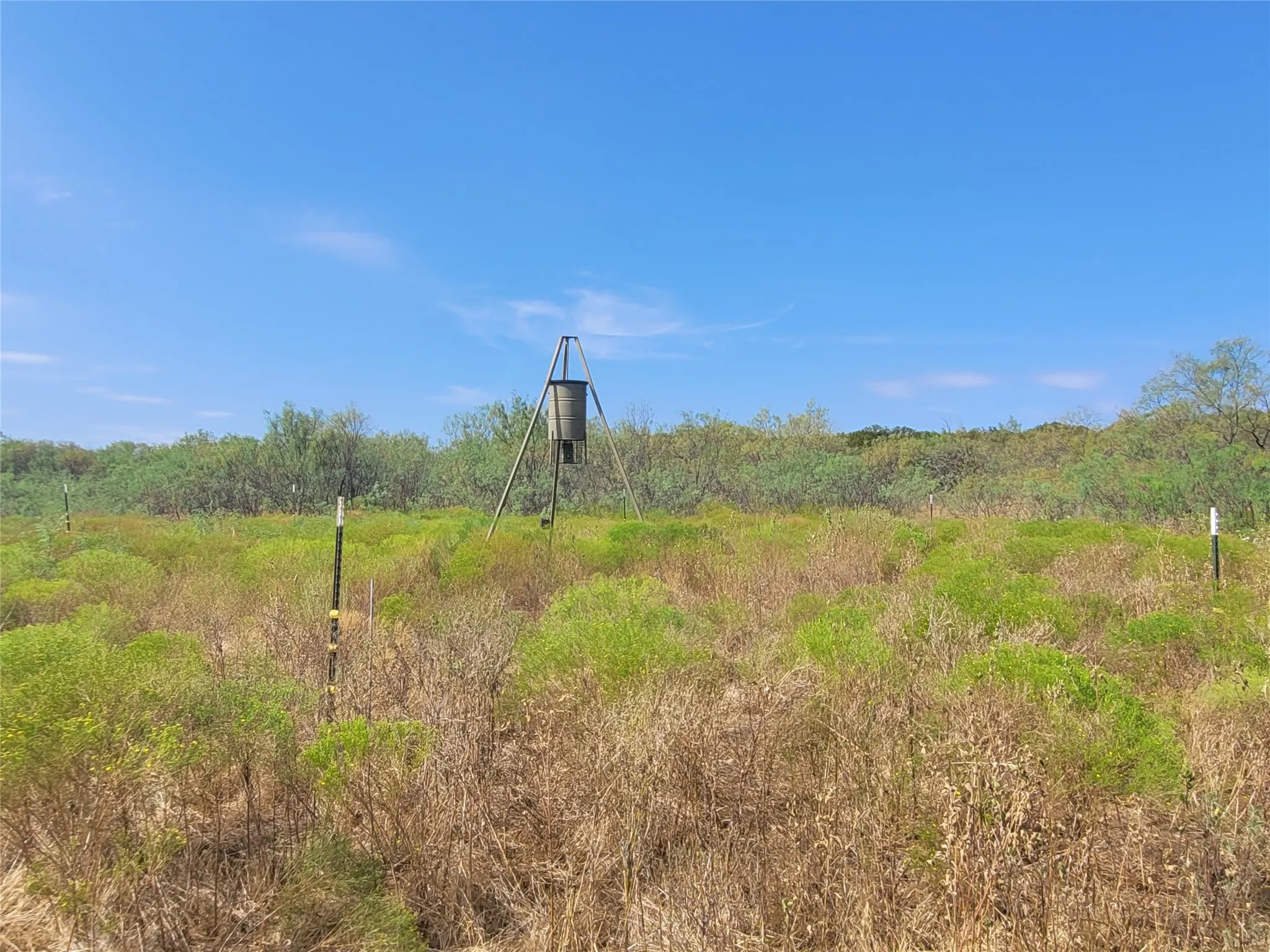 Ranch For Sale in Brown County , 14426 County Road 211, Brookesmith, Texas 76827, 0, 0, Garage spaces, 0 Sqft, built in 2017, mls#21400080, Real Estate Agent in Brookesmith, Homes For Sale in Brown county, Homes For Sale in Brookesmith, Realtor in Brookesmith Texas, Real Estate Brokerage Independent Realty Texas, Luminita Cordes Realtor