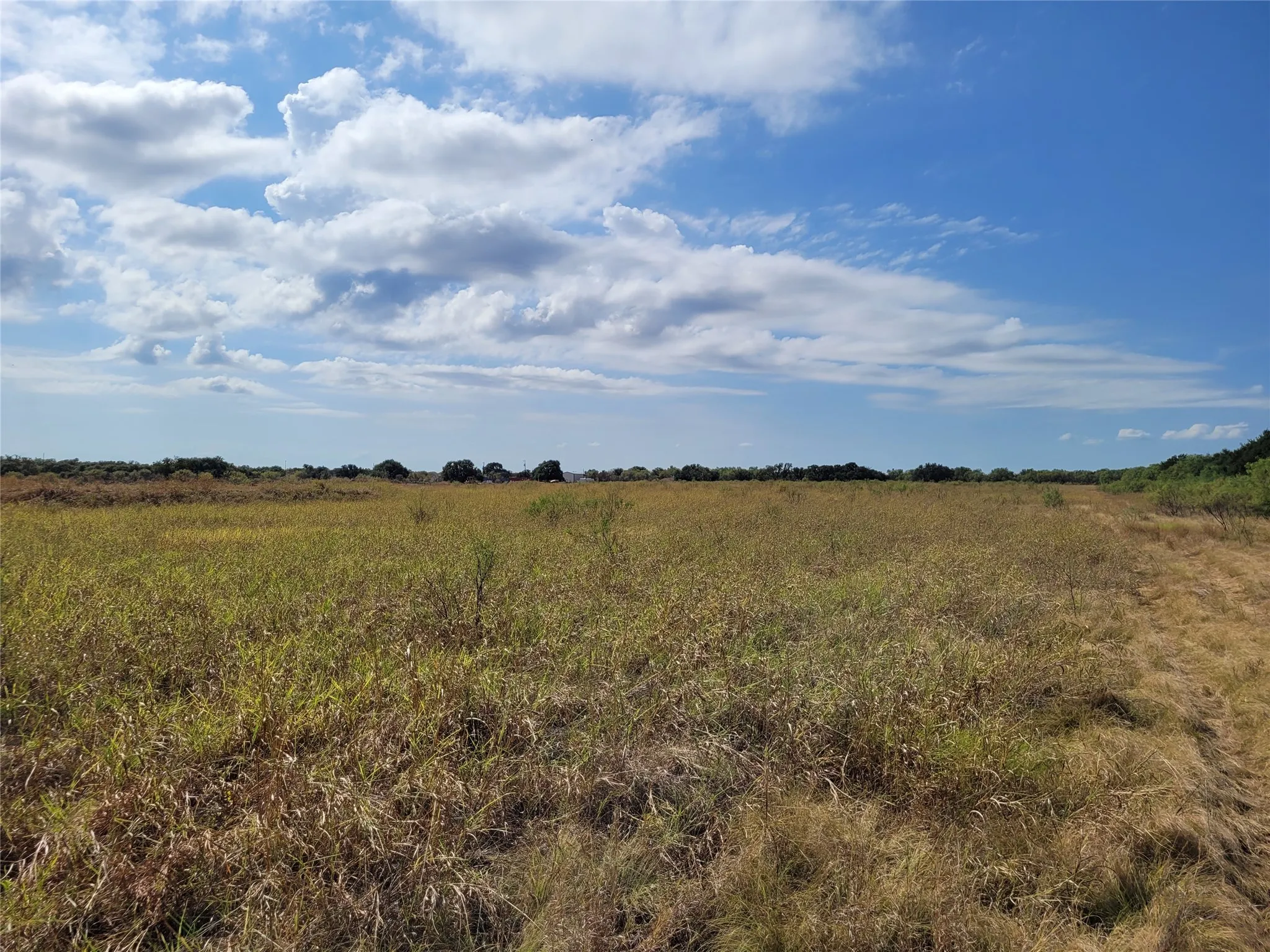 Ranch For Sale in Brown County , 14426 County Road 211, Brookesmith, Texas 76827, 0, 0, Garage spaces, 0 Sqft, built in 2017, mls#21400080, Real Estate Agent in Brookesmith, Homes For Sale in Brown county, Homes For Sale in Brookesmith, Realtor in Brookesmith Texas, Real Estate Brokerage Independent Realty Texas, Luminita Cordes Realtor