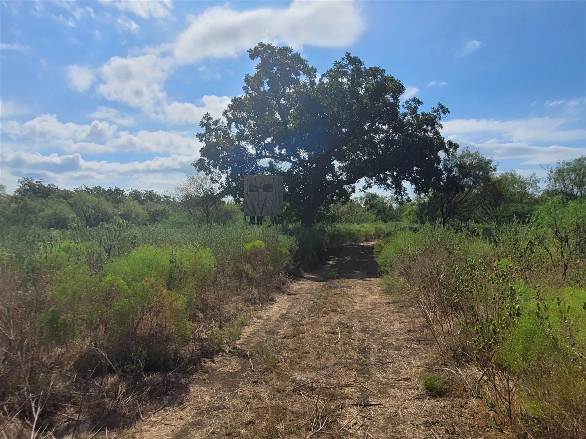 Ranch For Sale in Brown County , 14426 County Road 211, Brookesmith, Texas 76827, 0, 0, Garage spaces, 0 Sqft, built in 2017, mls#21400080, Real Estate Agent in Brookesmith, Homes For Sale in Brown county, Homes For Sale in Brookesmith, Realtor in Brookesmith Texas, Real Estate Brokerage Independent Realty Texas, Luminita Cordes Realtor