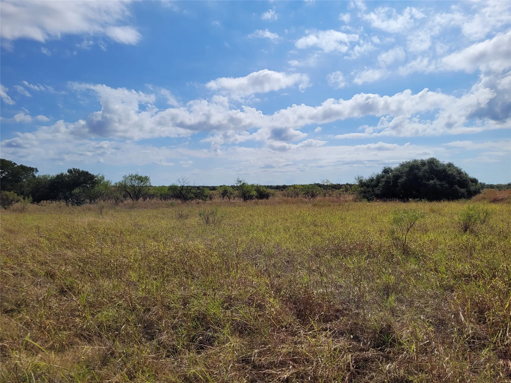 Ranch For Sale in Brown County , 14426 County Road 211, Brookesmith, Texas 76827, 0, 0, Garage spaces, 0 Sqft, built in 2017, mls#21400080, Real Estate Agent in Brookesmith, Homes For Sale in Brown county, Homes For Sale in Brookesmith, Realtor in Brookesmith Texas, Real Estate Brokerage Independent Realty Texas, Luminita Cordes Realtor