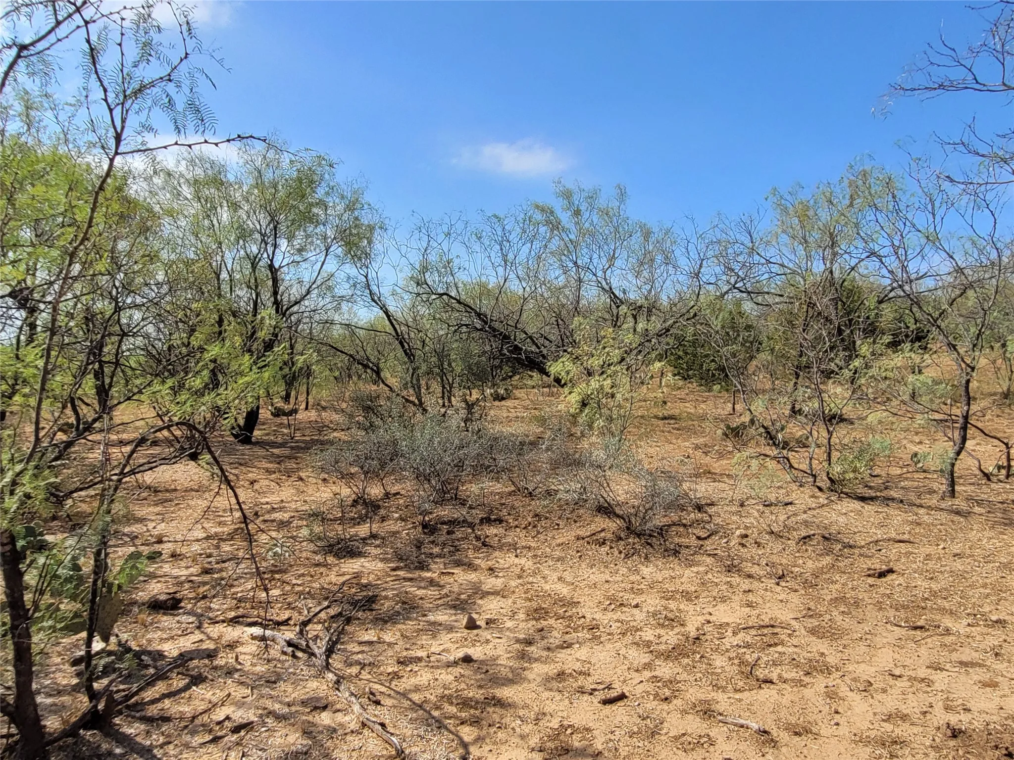 Ranch For Sale in Brown County , 14426 County Road 211, Brookesmith, Texas 76827, 0, 0, Garage spaces, 0 Sqft, built in 2017, mls#21400080, Real Estate Agent in Brookesmith, Homes For Sale in Brown county, Homes For Sale in Brookesmith, Realtor in Brookesmith Texas, Real Estate Brokerage Independent Realty Texas, Luminita Cordes Realtor