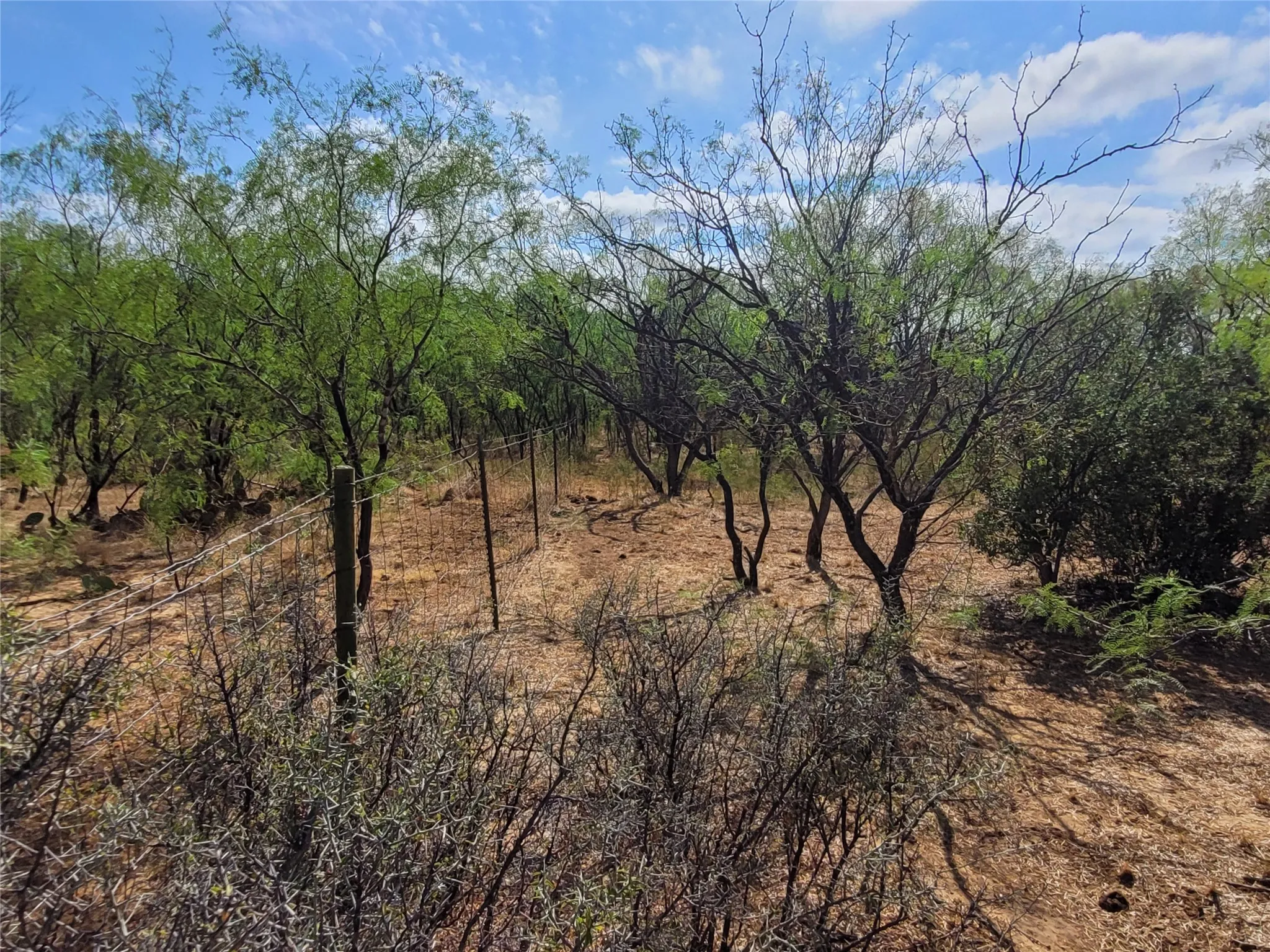 Ranch For Sale in Brown County , 14426 County Road 211, Brookesmith, Texas 76827, 0, 0, Garage spaces, 0 Sqft, built in 2017, mls#21400080, Real Estate Agent in Brookesmith, Homes For Sale in Brown county, Homes For Sale in Brookesmith, Realtor in Brookesmith Texas, Real Estate Brokerage Independent Realty Texas, Luminita Cordes Realtor