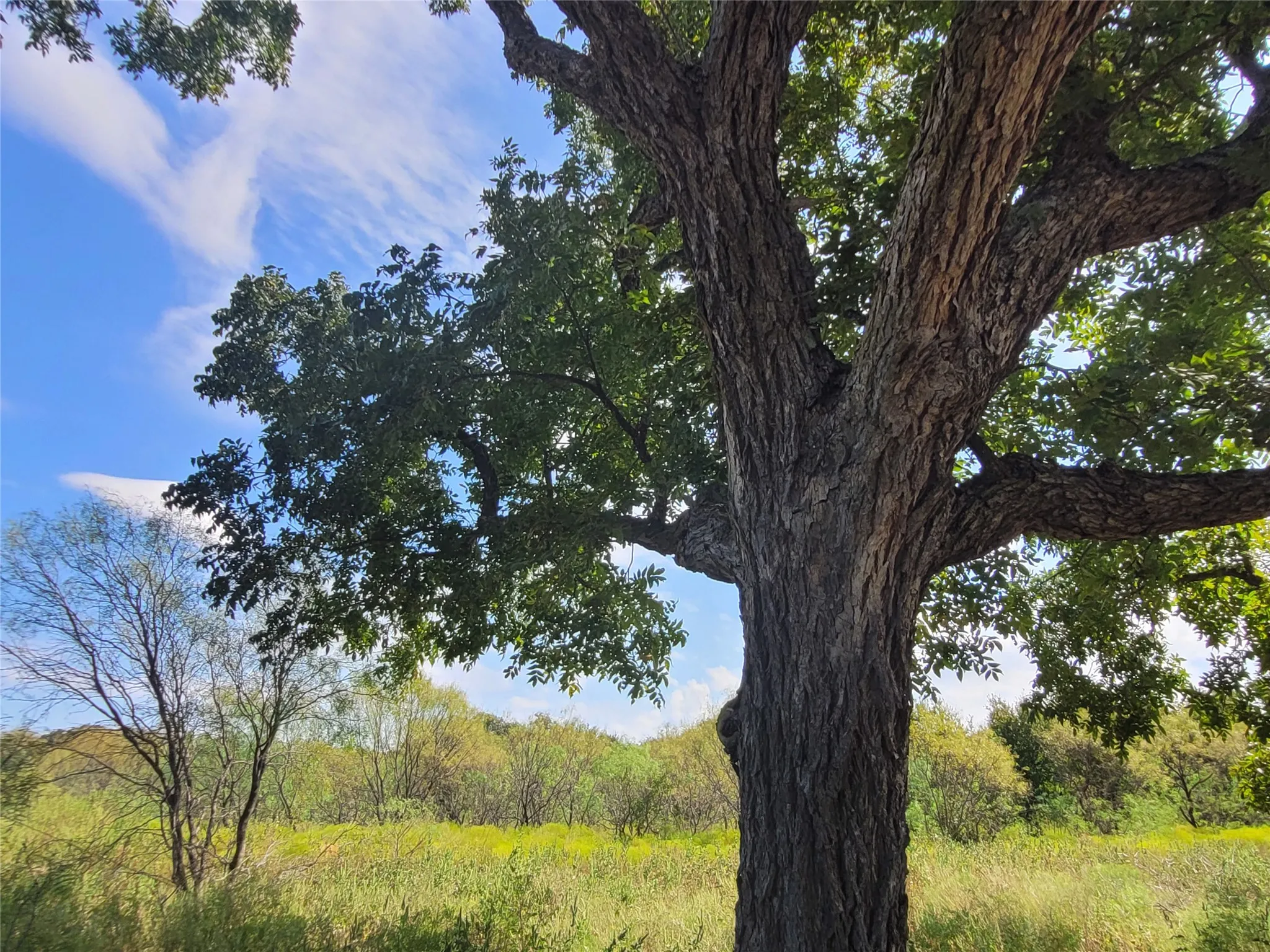 Ranch For Sale in Brown County , 14426 County Road 211, Brookesmith, Texas 76827, 0, 0, Garage spaces, 0 Sqft, built in 2017, mls#21400080, Real Estate Agent in Brookesmith, Homes For Sale in Brown county, Homes For Sale in Brookesmith, Realtor in Brookesmith Texas, Real Estate Brokerage Independent Realty Texas, Luminita Cordes Realtor
