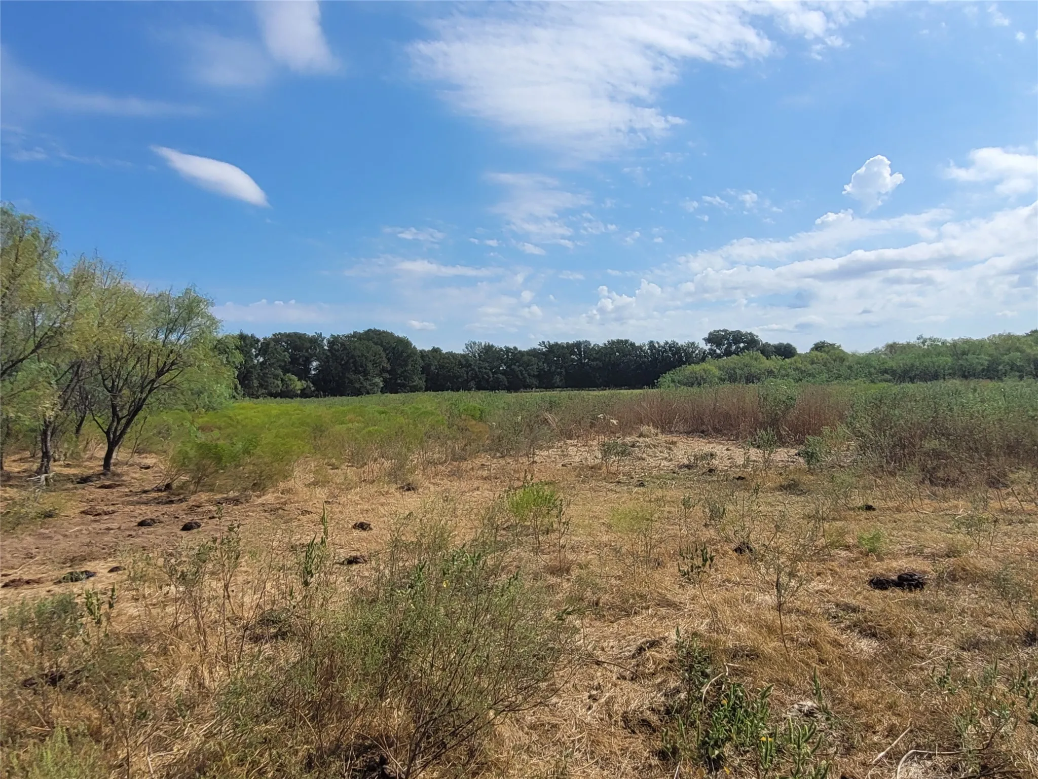 Ranch For Sale in Brown County , 14426 County Road 211, Brookesmith, Texas 76827, 0, 0, Garage spaces, 0 Sqft, built in 2017, mls#21400080, Real Estate Agent in Brookesmith, Homes For Sale in Brown county, Homes For Sale in Brookesmith, Realtor in Brookesmith Texas, Real Estate Brokerage Independent Realty Texas, Luminita Cordes Realtor
