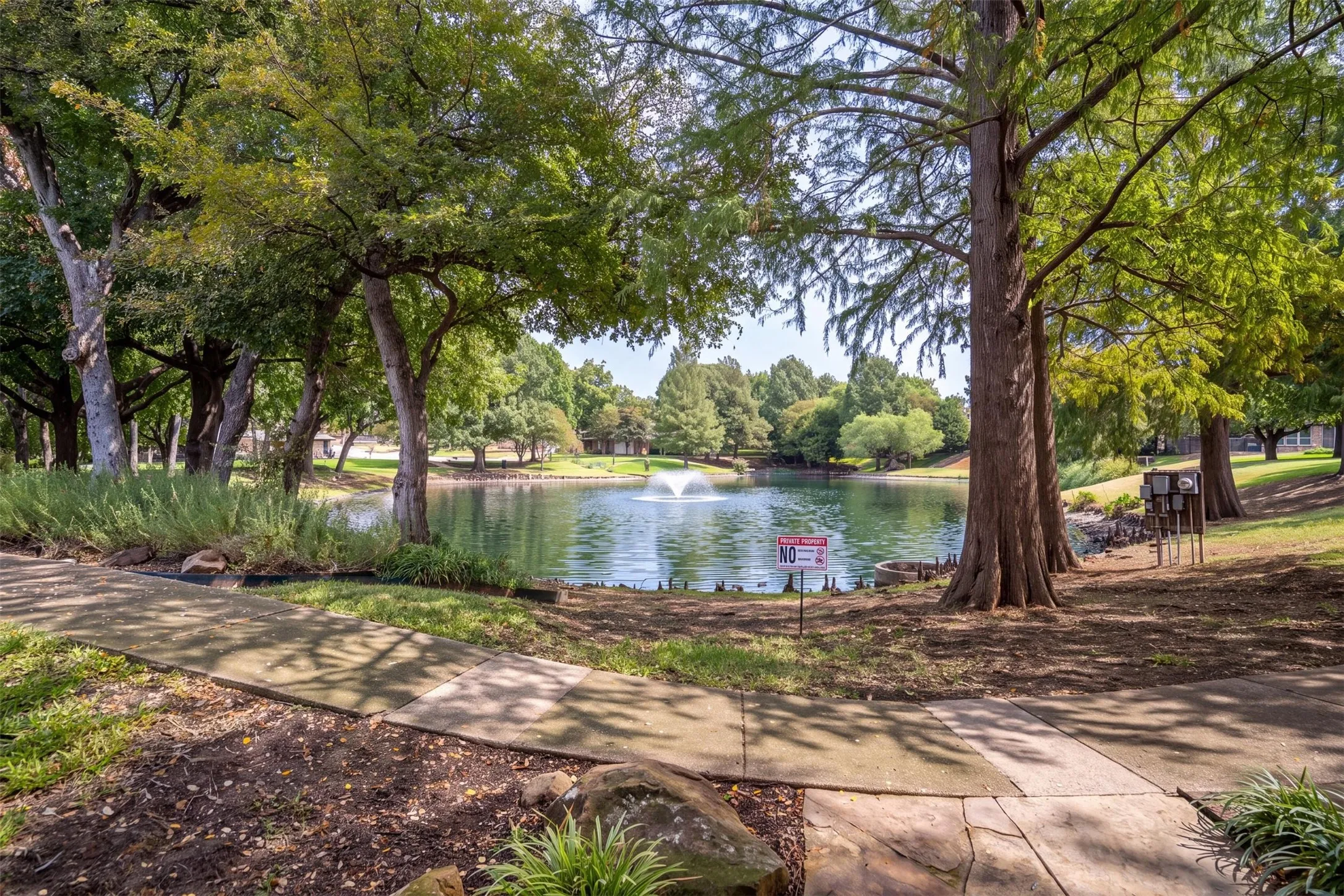 Pond view from the backyard.